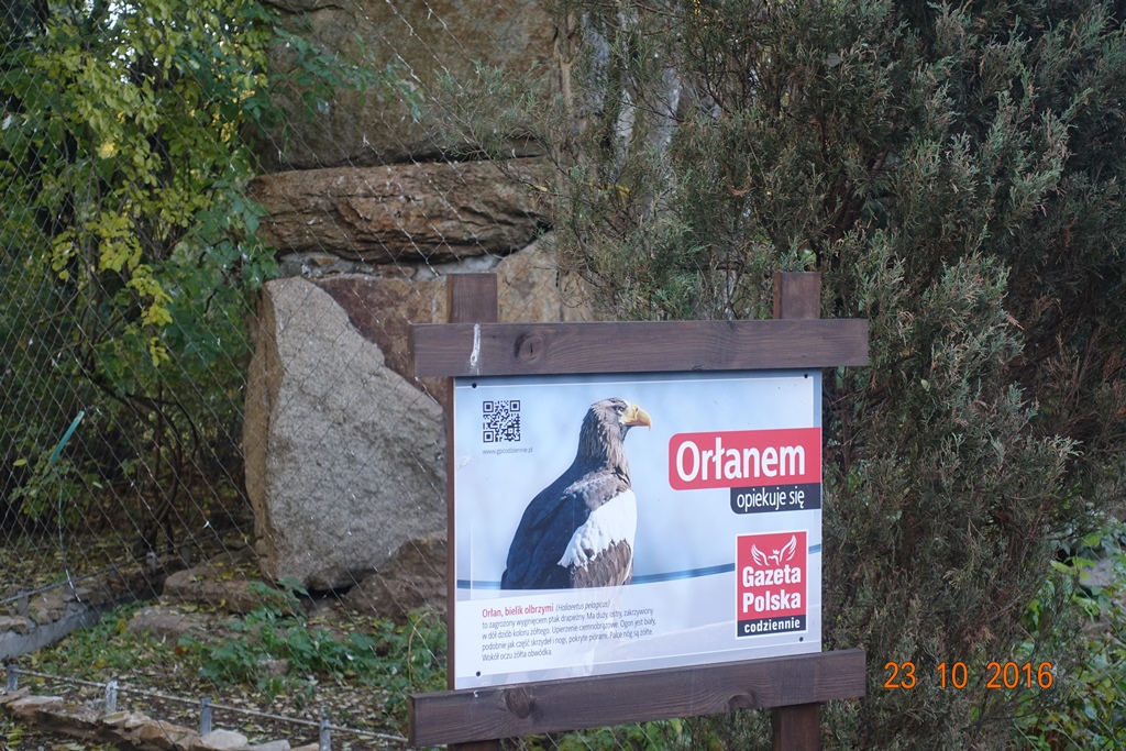 Warsaw Zoo 23.10.16