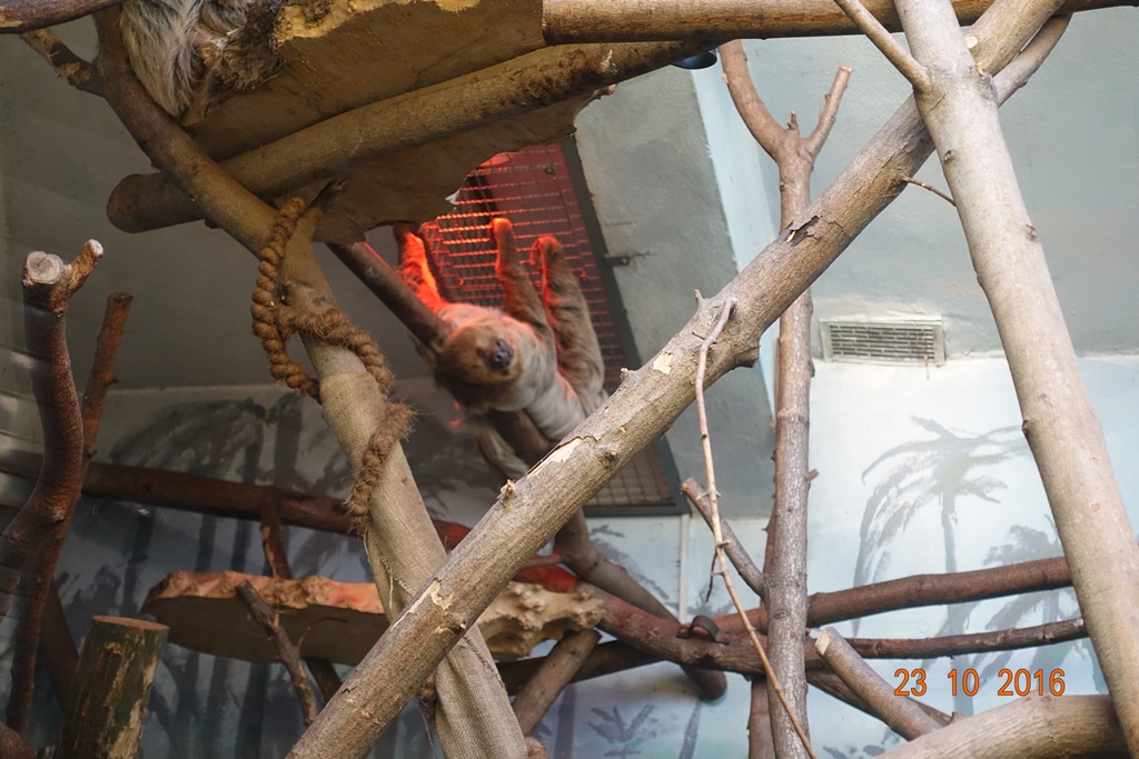 Warsaw Zoo 23.10.16