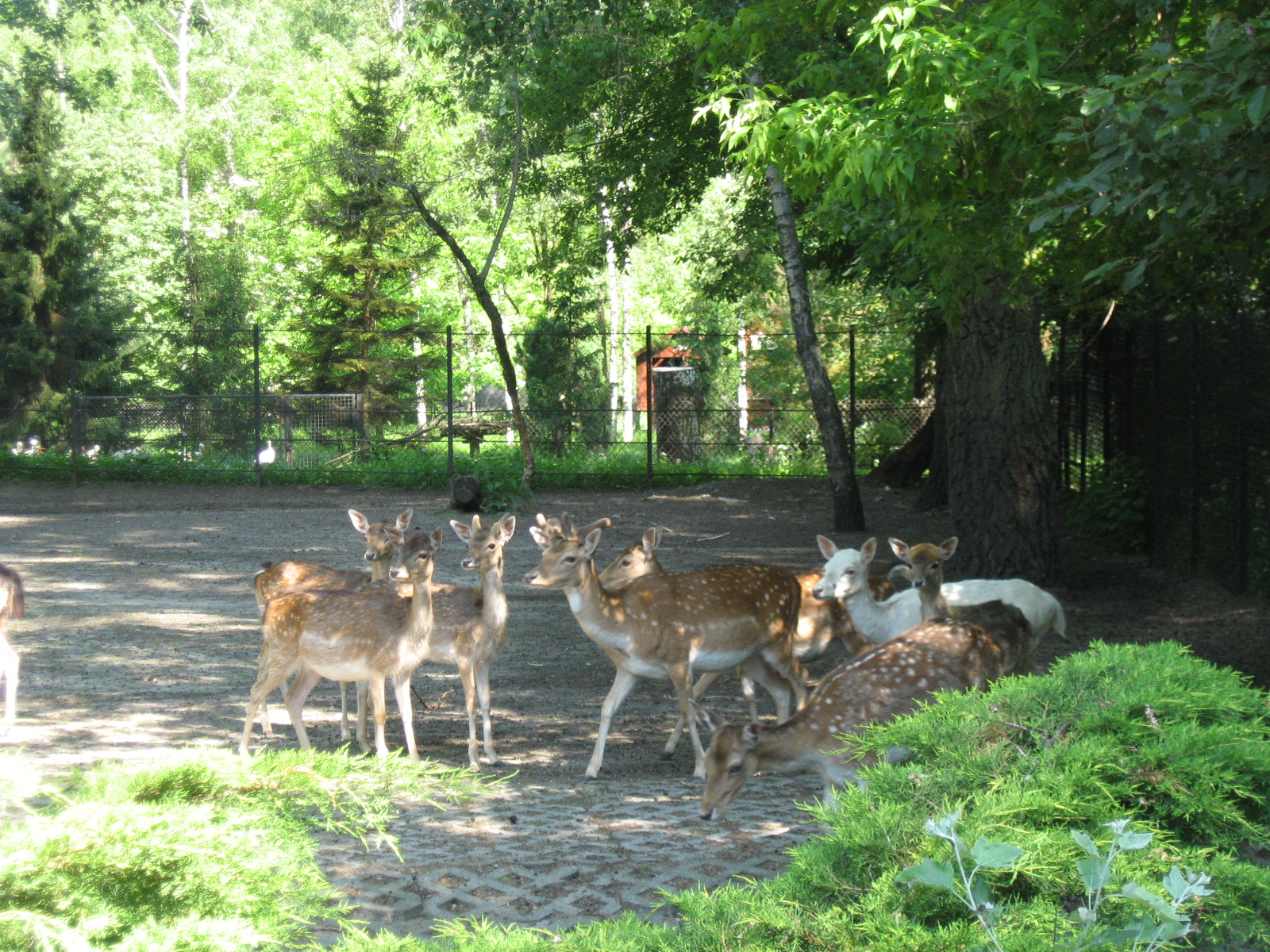 Warsaw Zoo