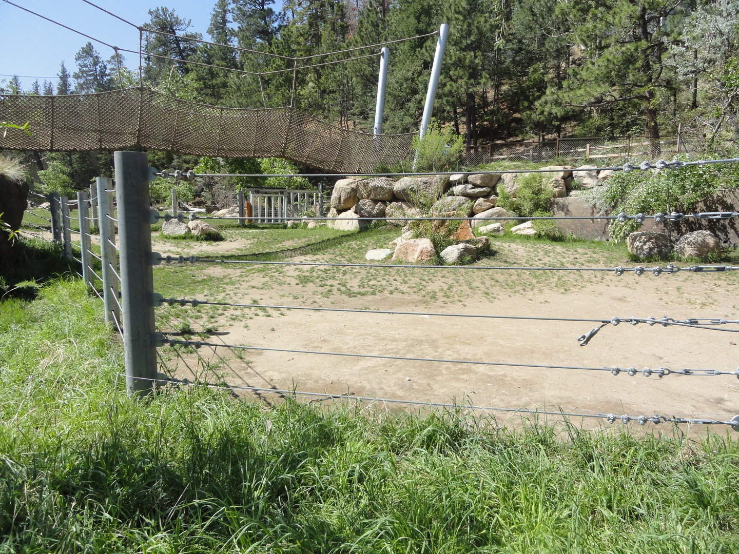 Warthog and Hippo Yard 1