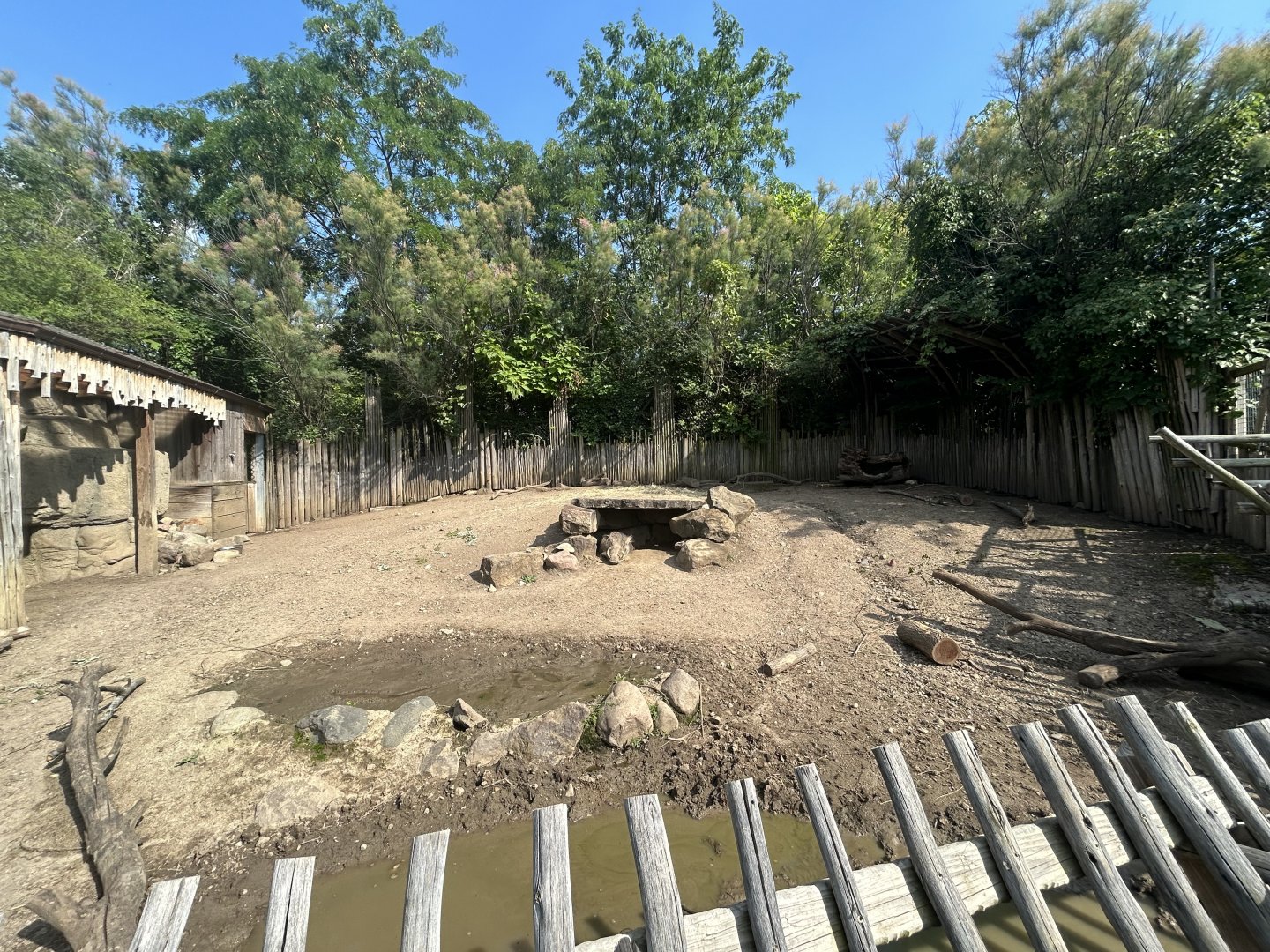 Warthog & Cape Porcupine Exhibit - Plains