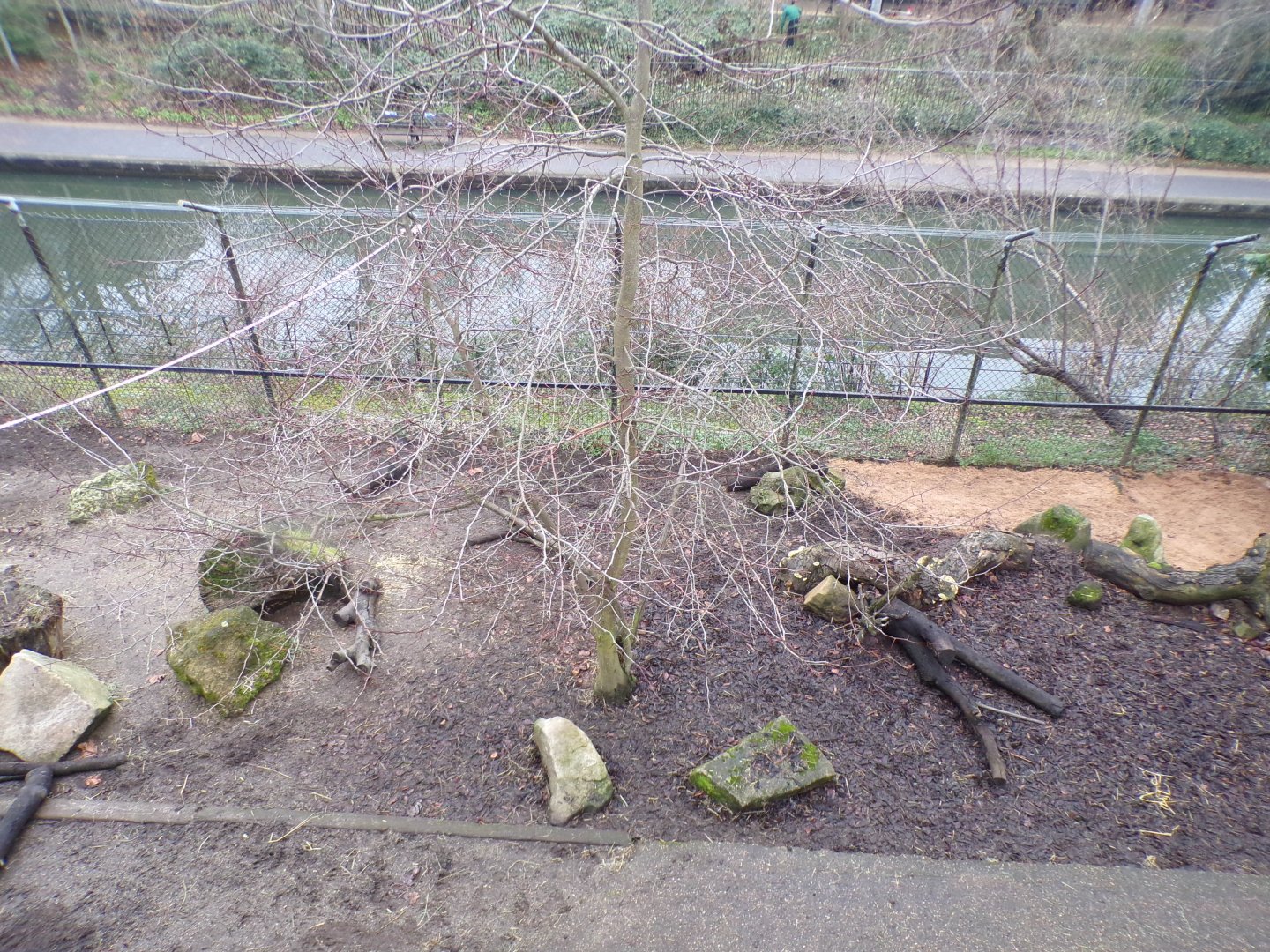 Warthog enclosure 11.2.25