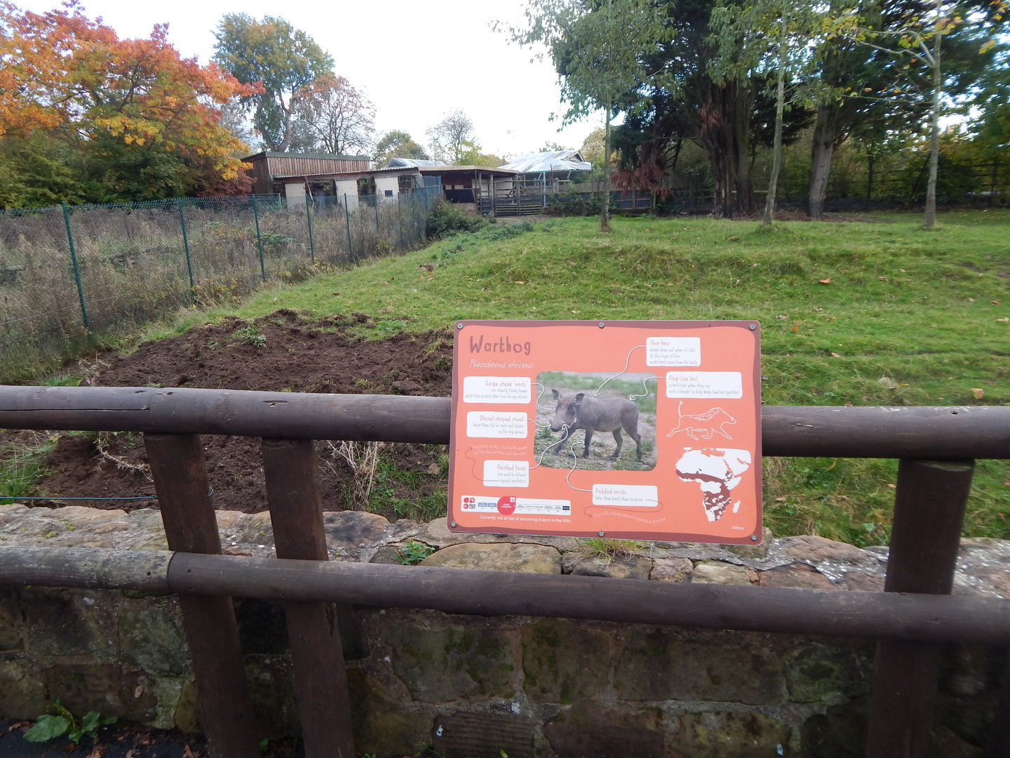 Warthog enclosure 221022
