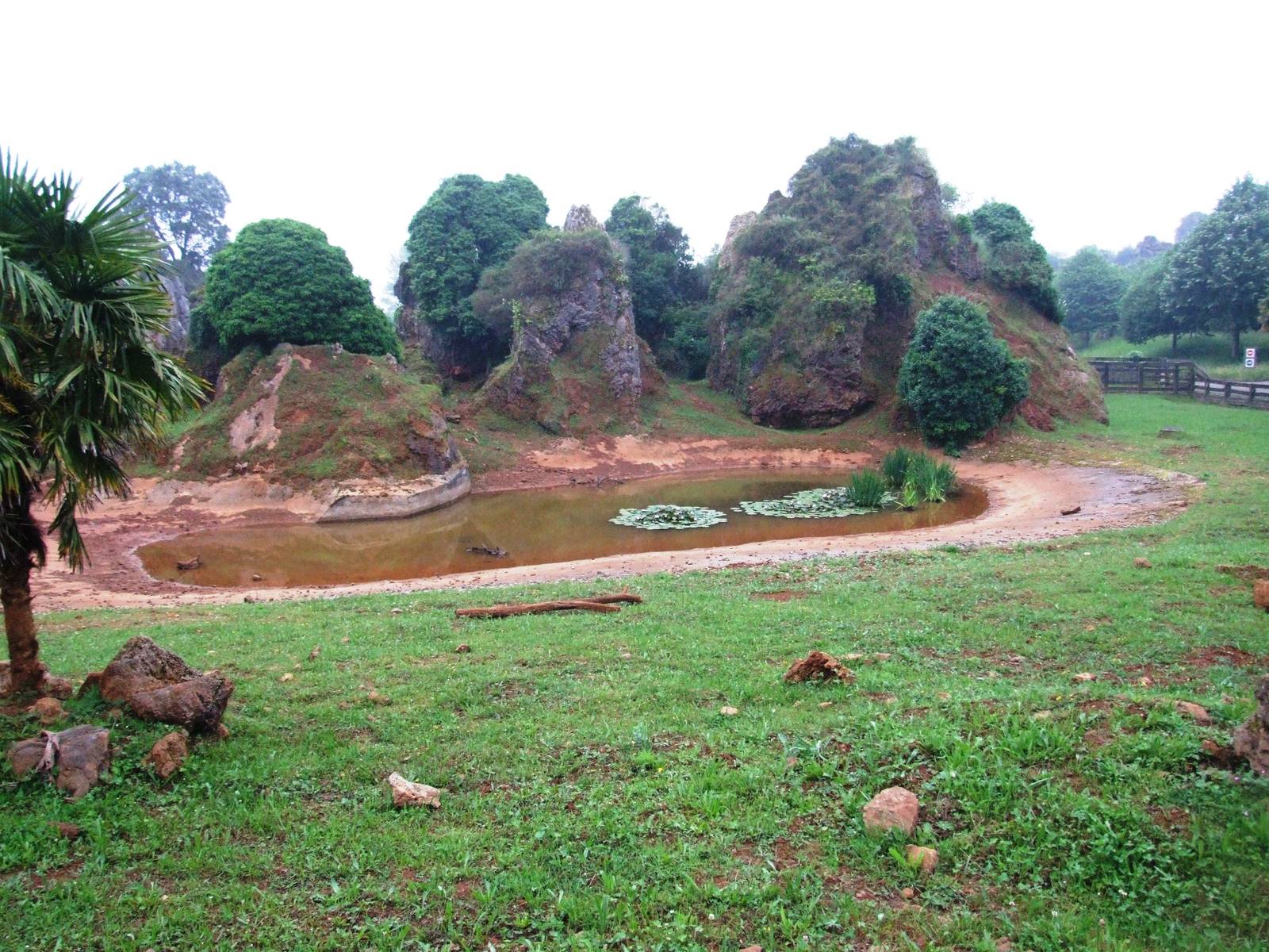 Warthog Enclosure at Cabarceno, 11/06/15