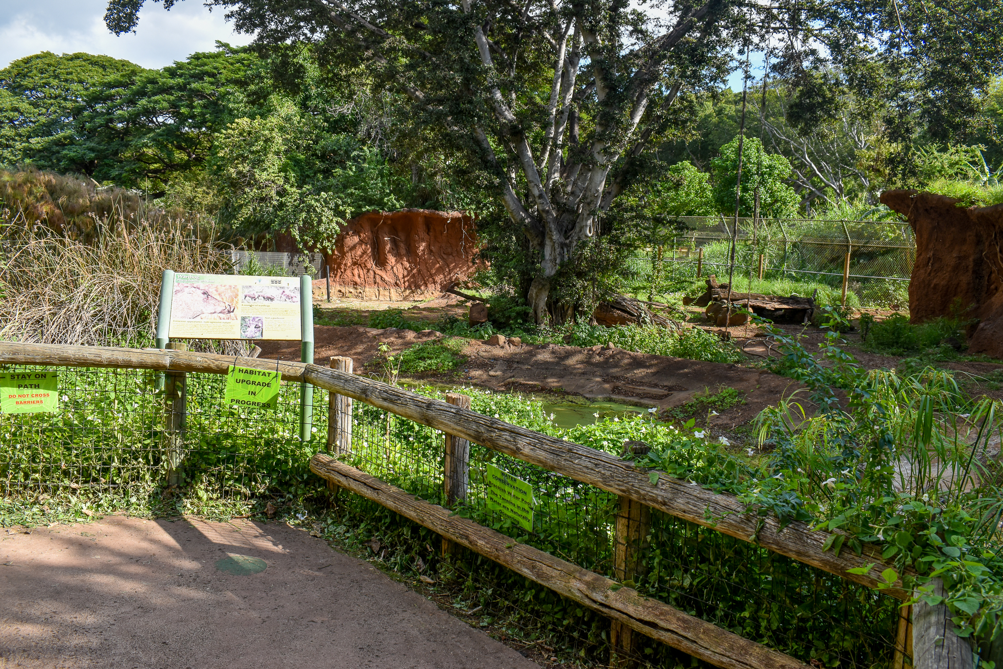 Warthog enclosure - empty