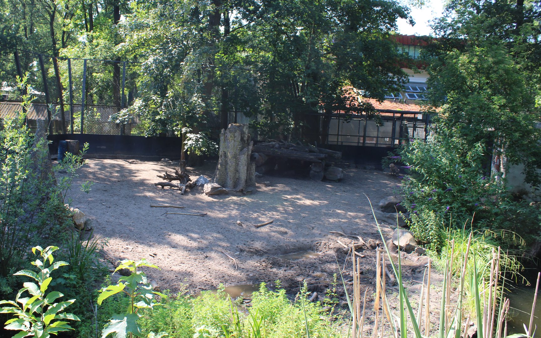 Warthog enclosure