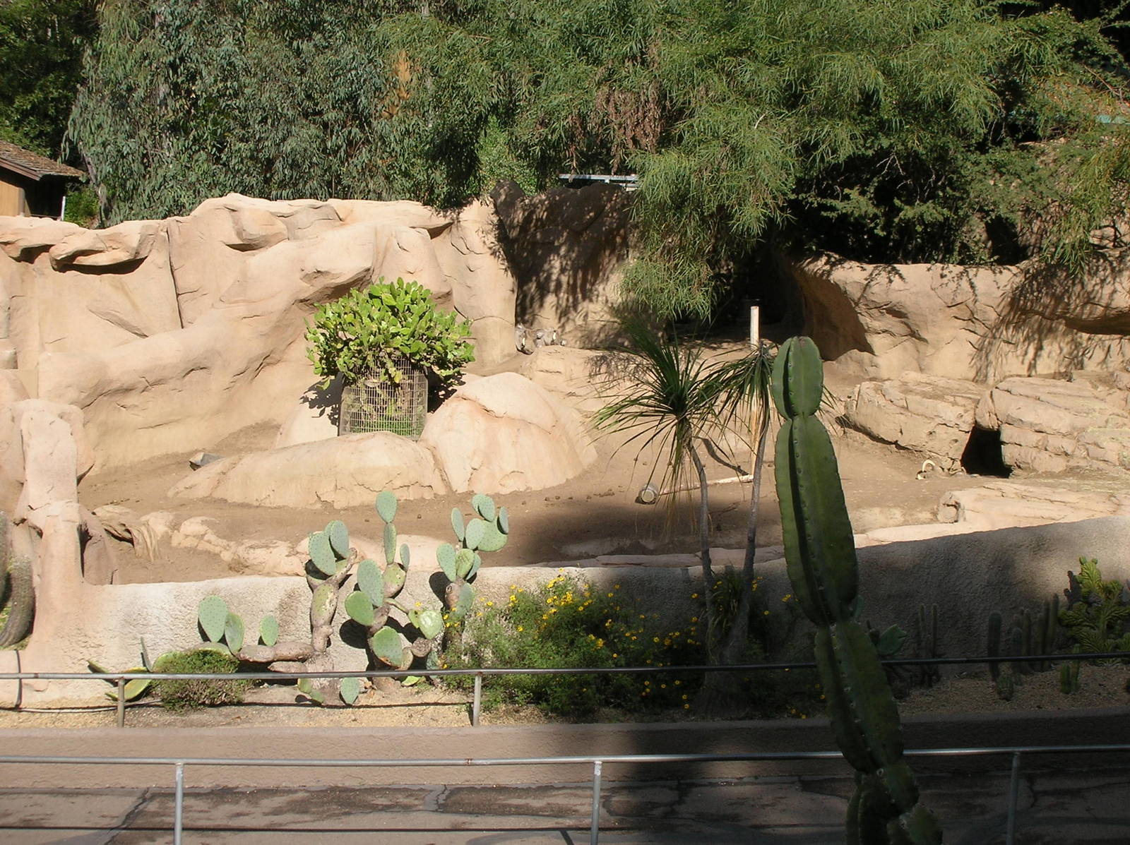 Warthog Exhibit 1-19-09