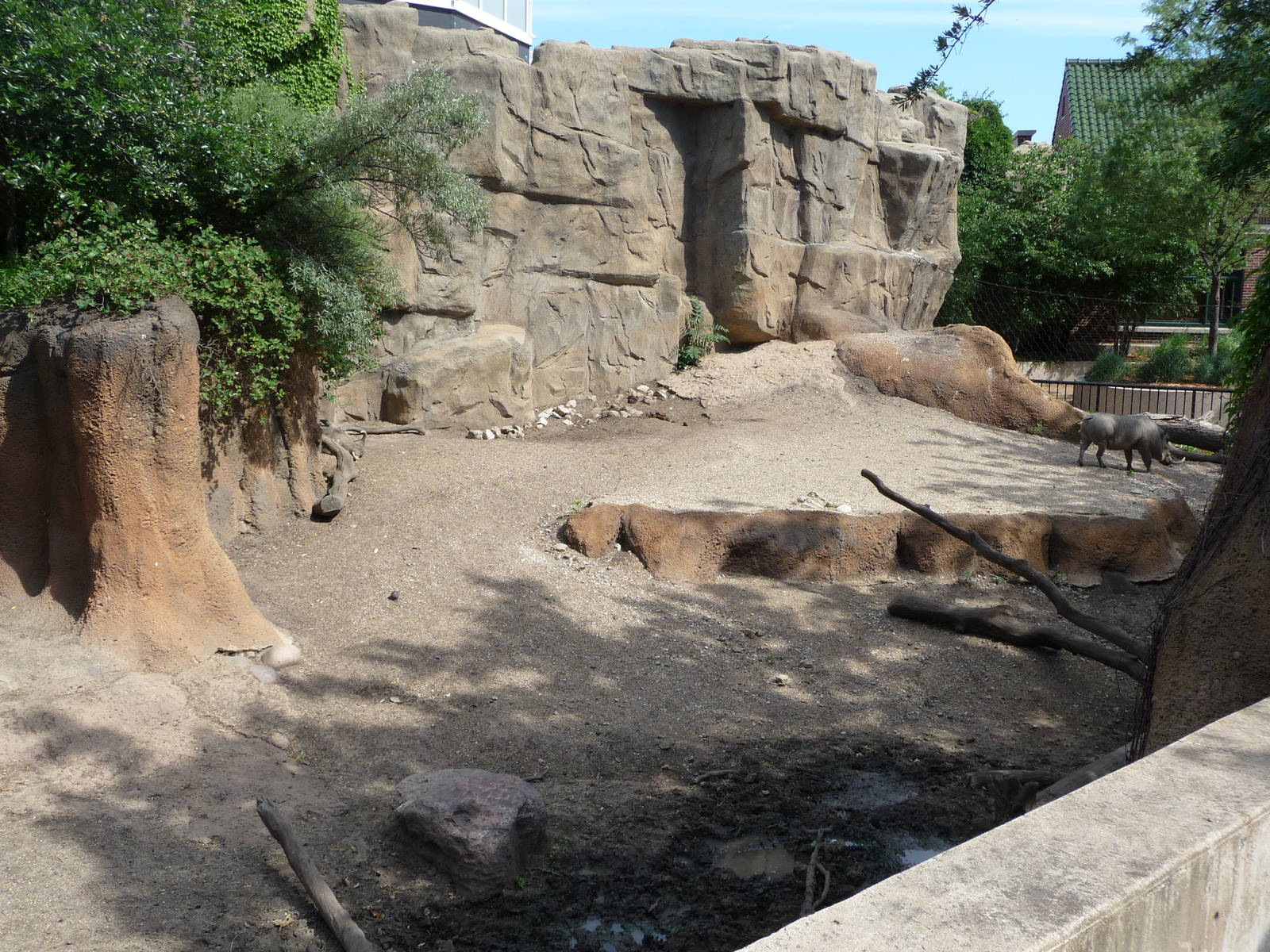 Warthog Exhibit - Lincoln Park Zoo