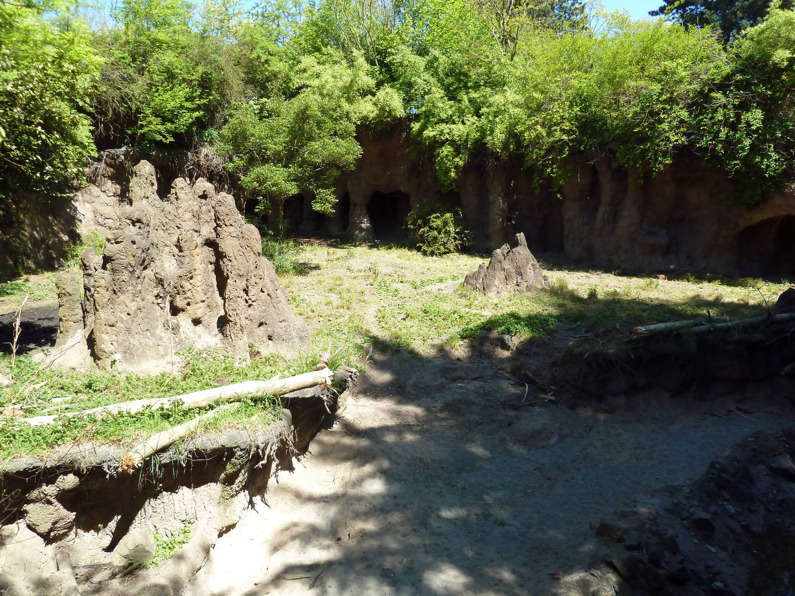 Warthog Exhibit - New in 2012