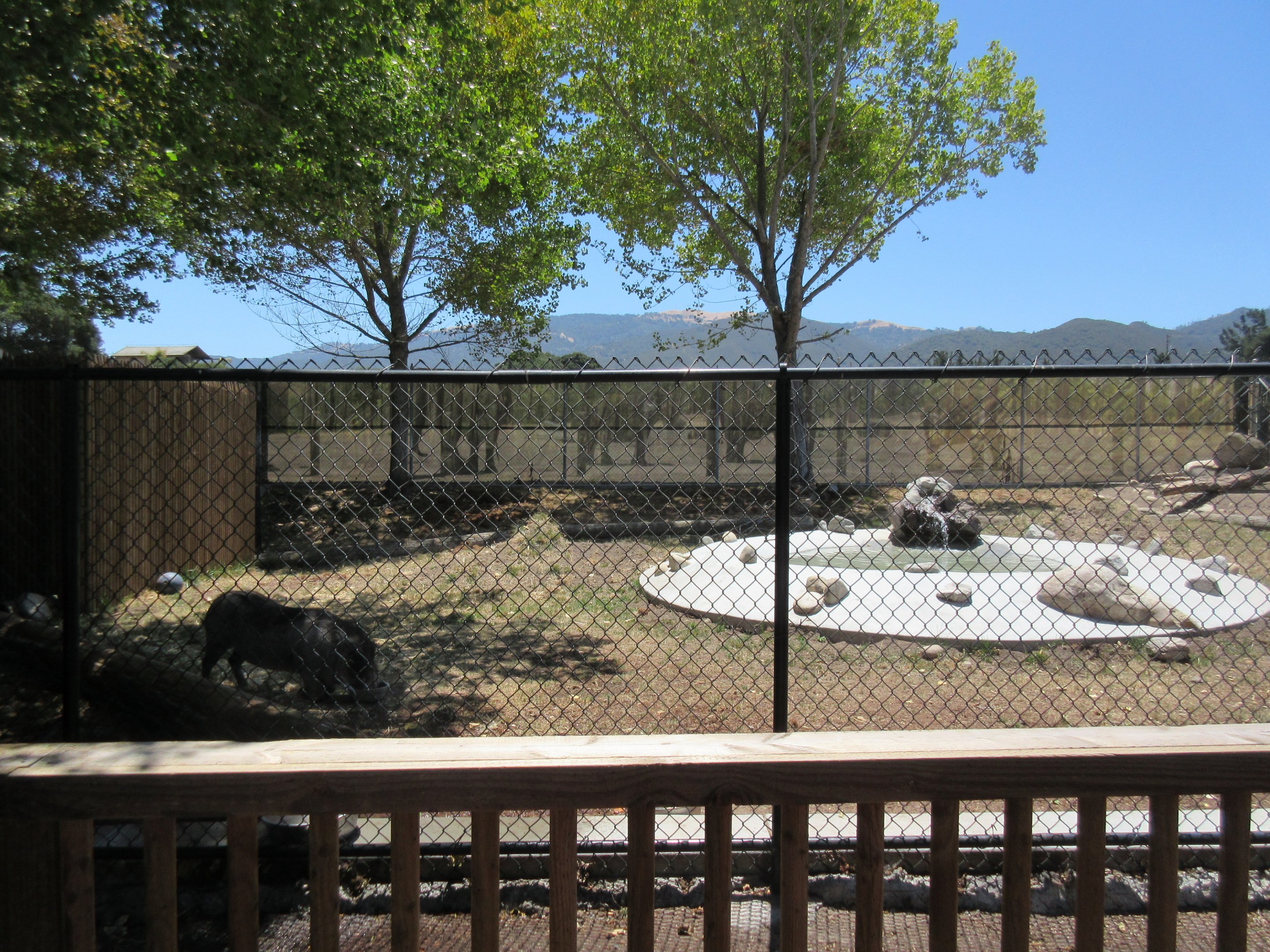 Warthog Exhibit (New in 2017)