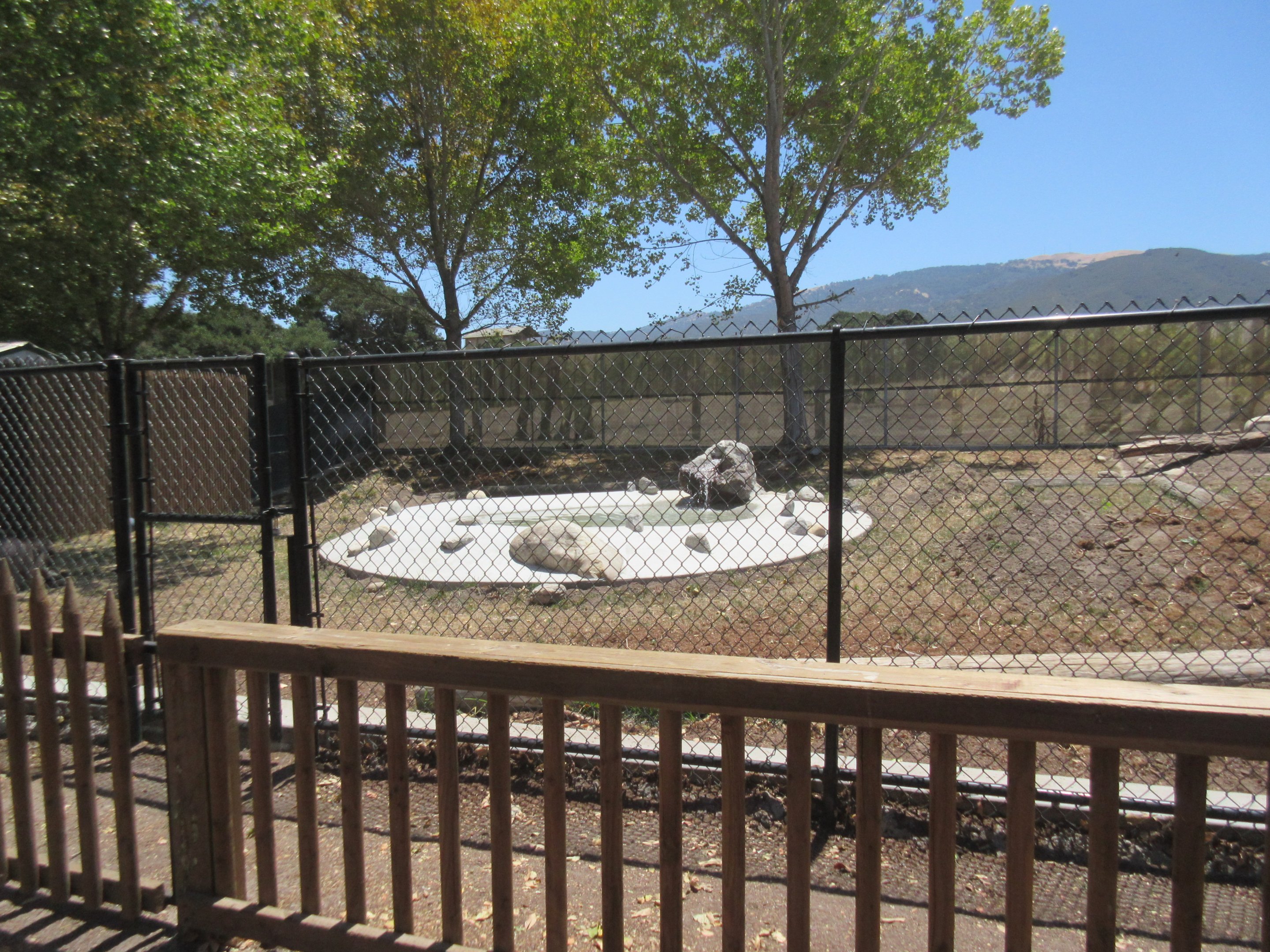 Warthog Exhibit (New in 2017)