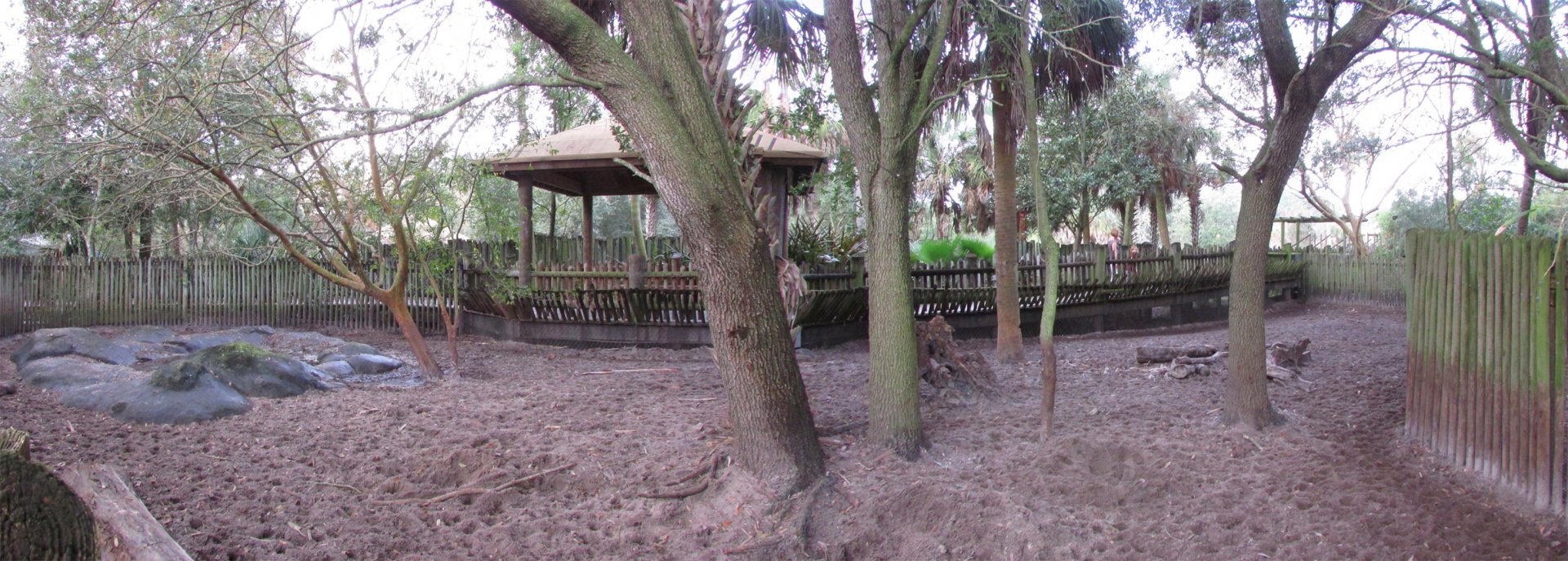 Warthog Exhibit Rear View