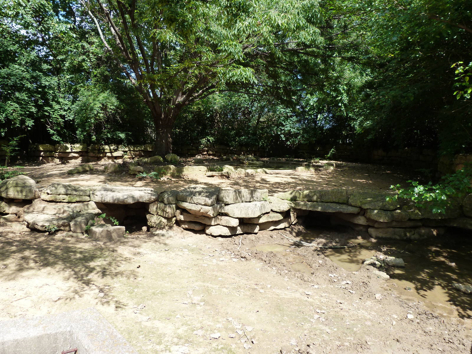 Warthog Exhibit - September 2014