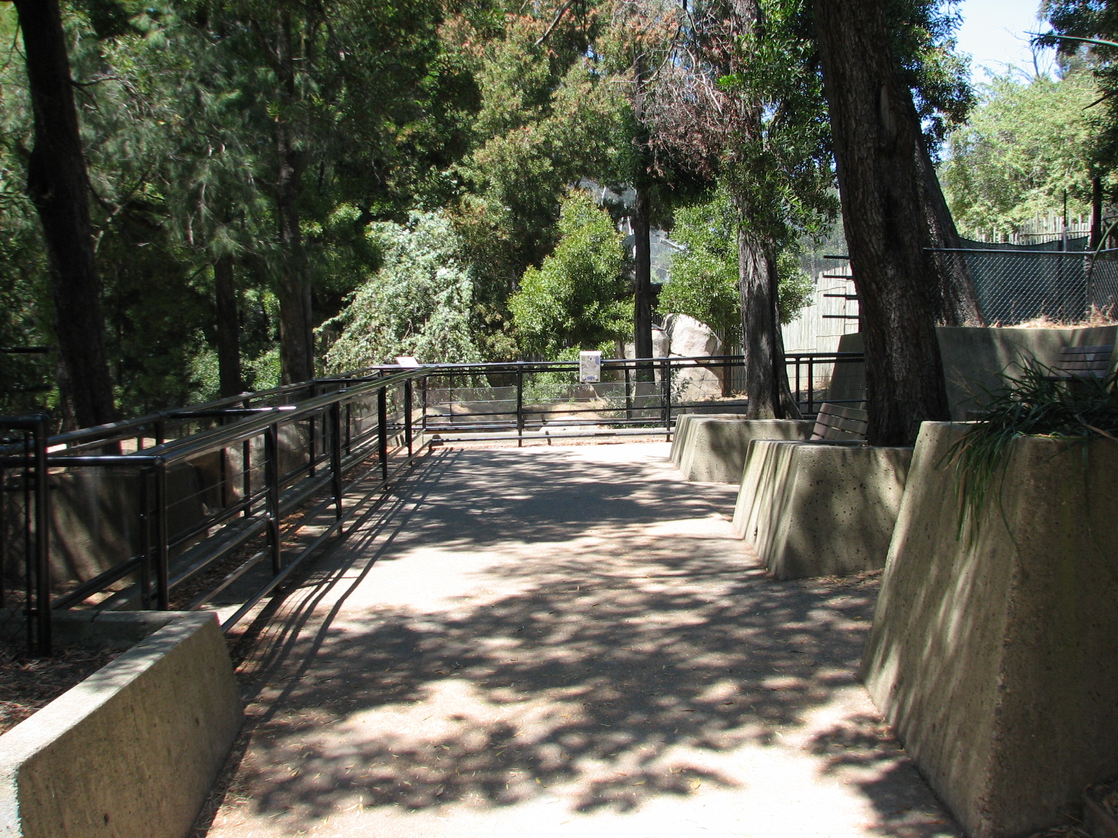 Warthog Exhibit - Viewing Area