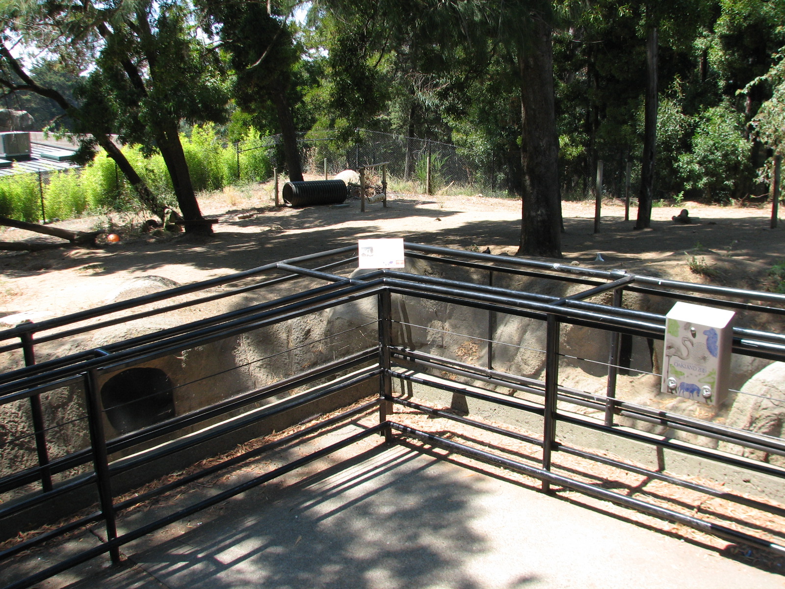 Warthog Exhibit - Viewing Area