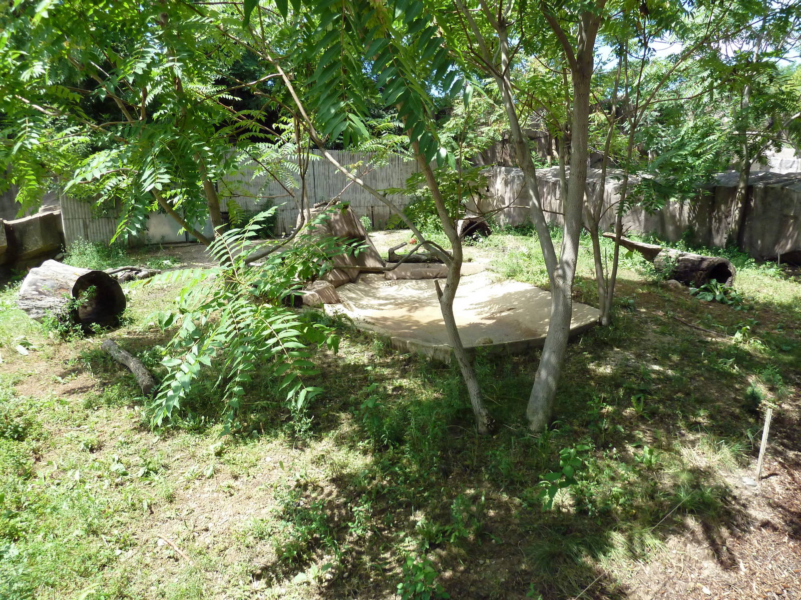 Warthog Exhibit
