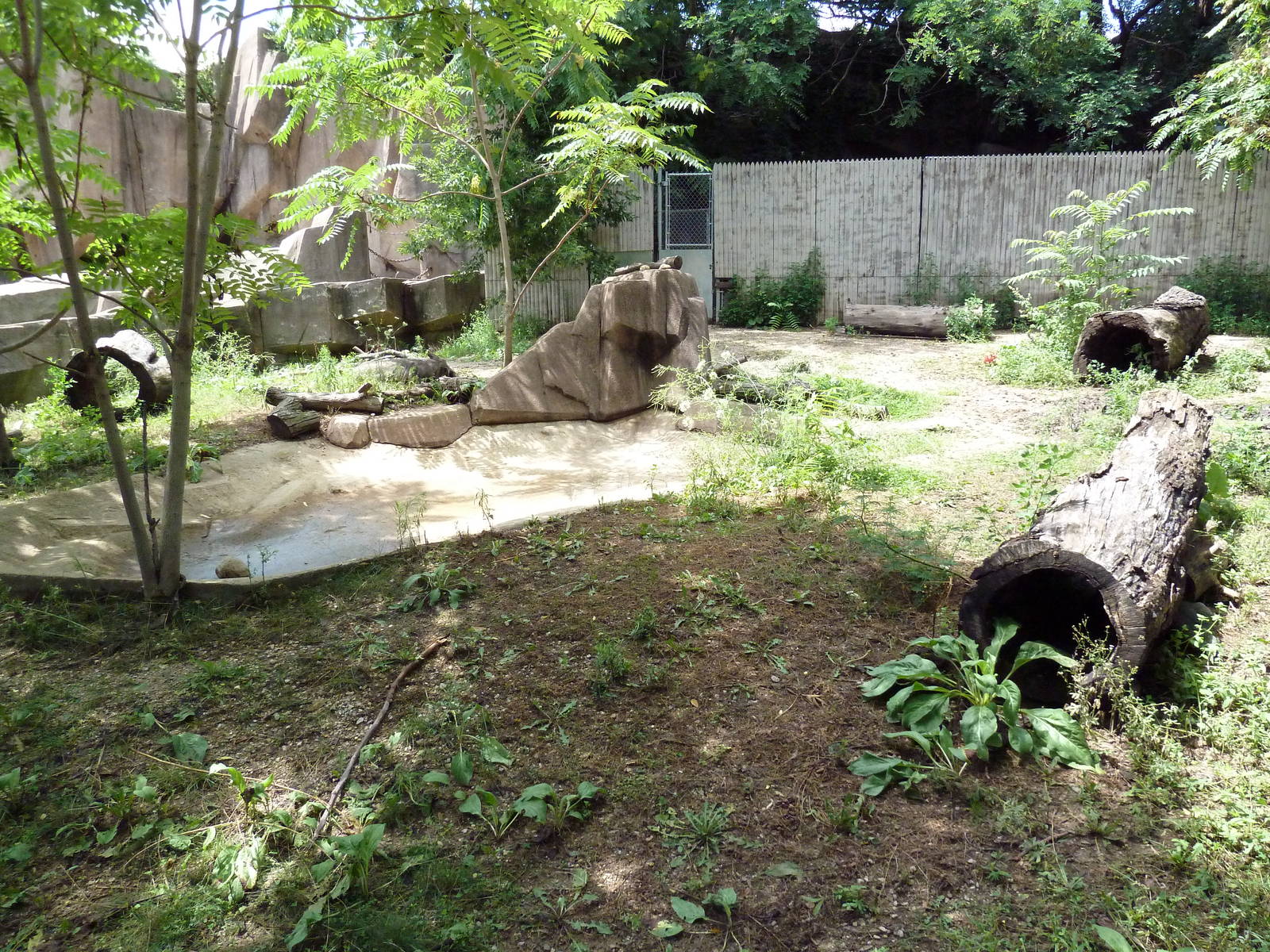 Warthog Exhibit