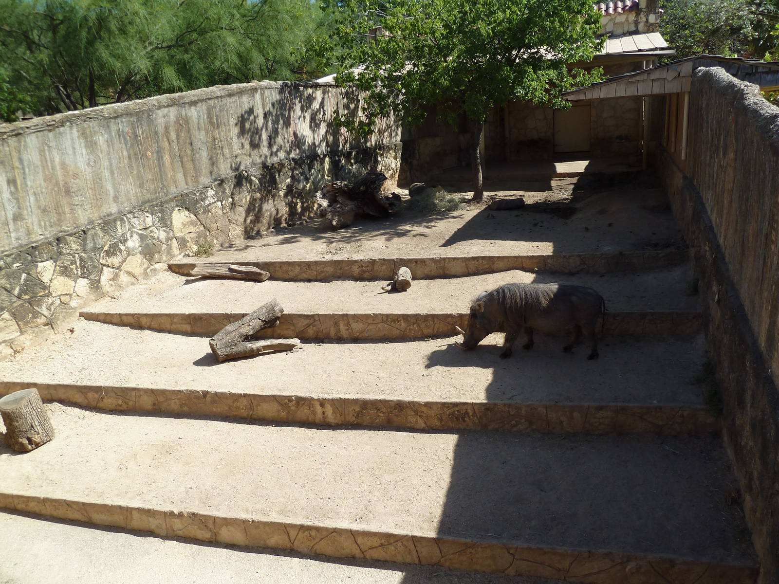 Warthog Exhibit