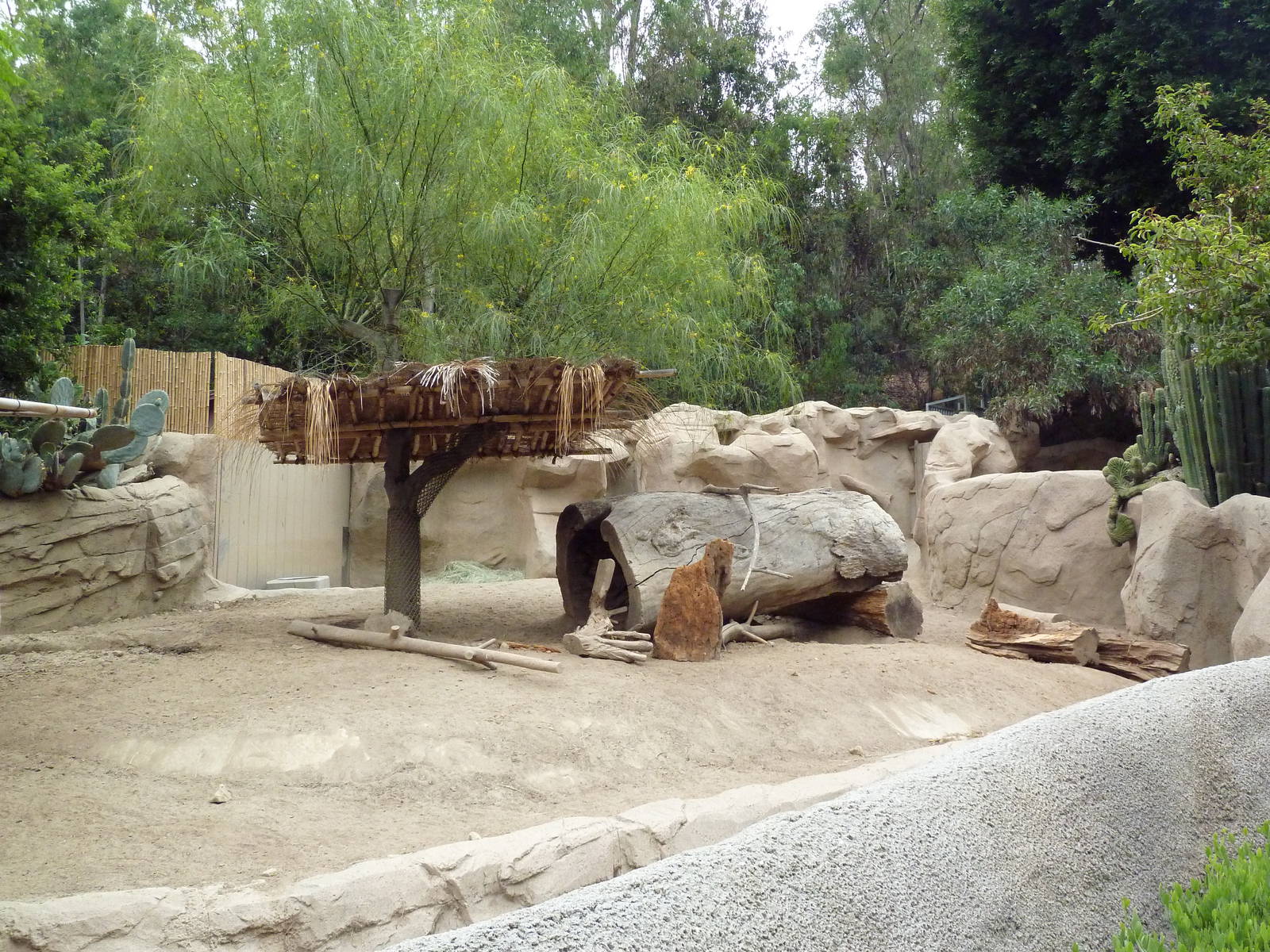 Warthog Exhibit