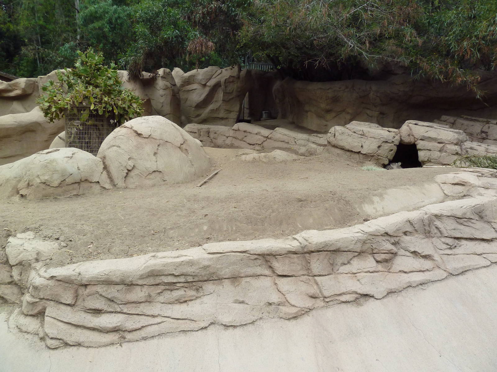 Warthog Exhibit