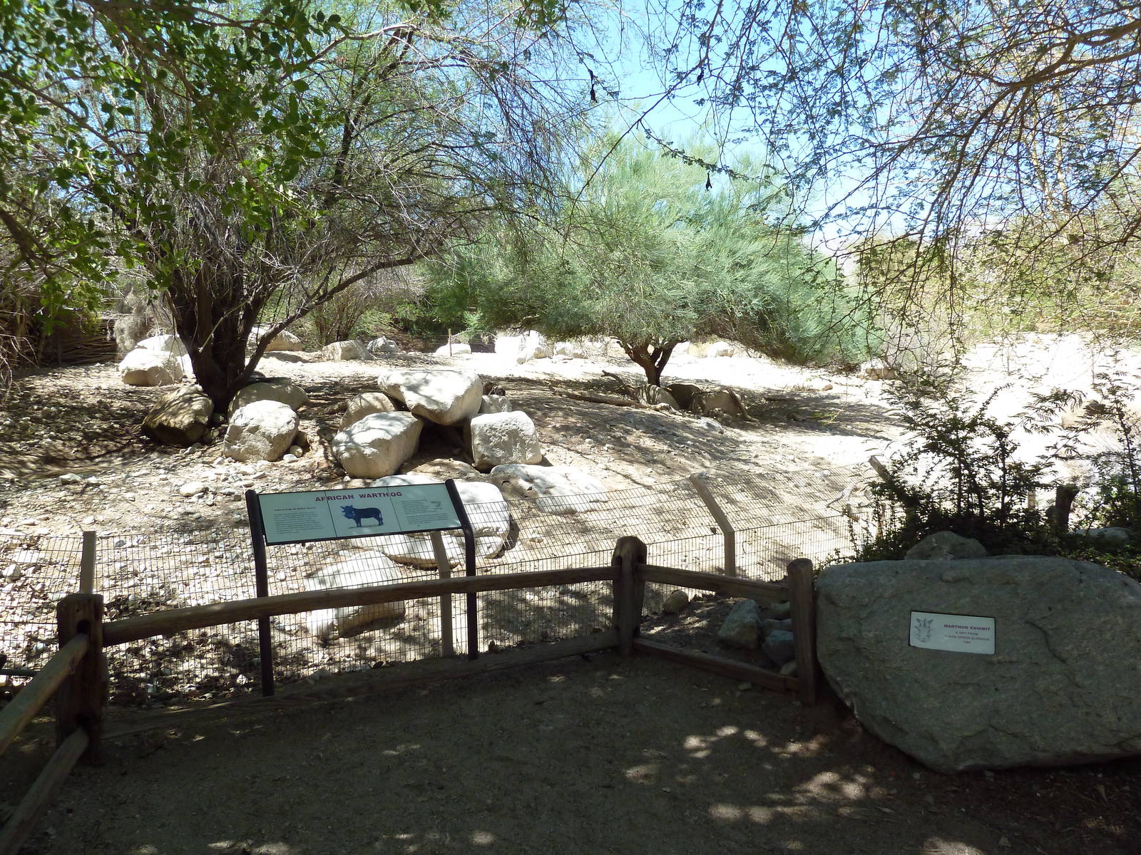 Warthog Exhibit