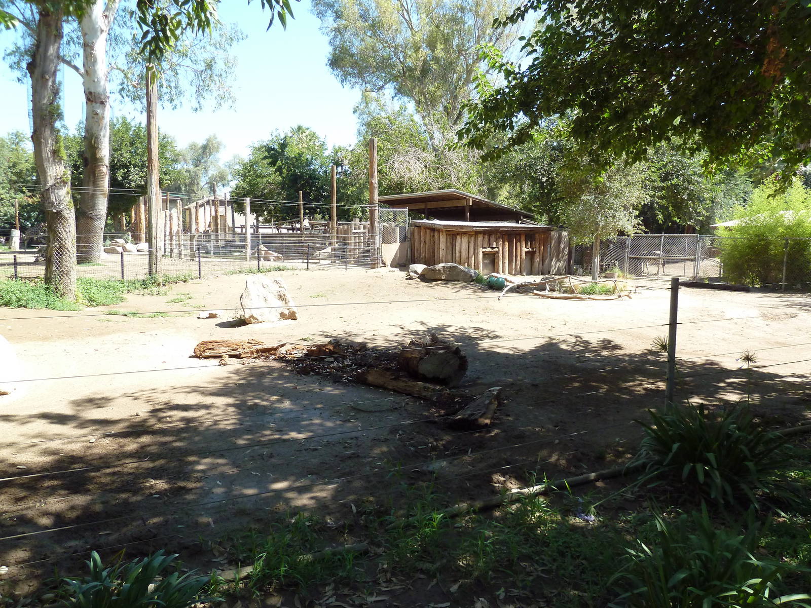 Warthog Exhibit