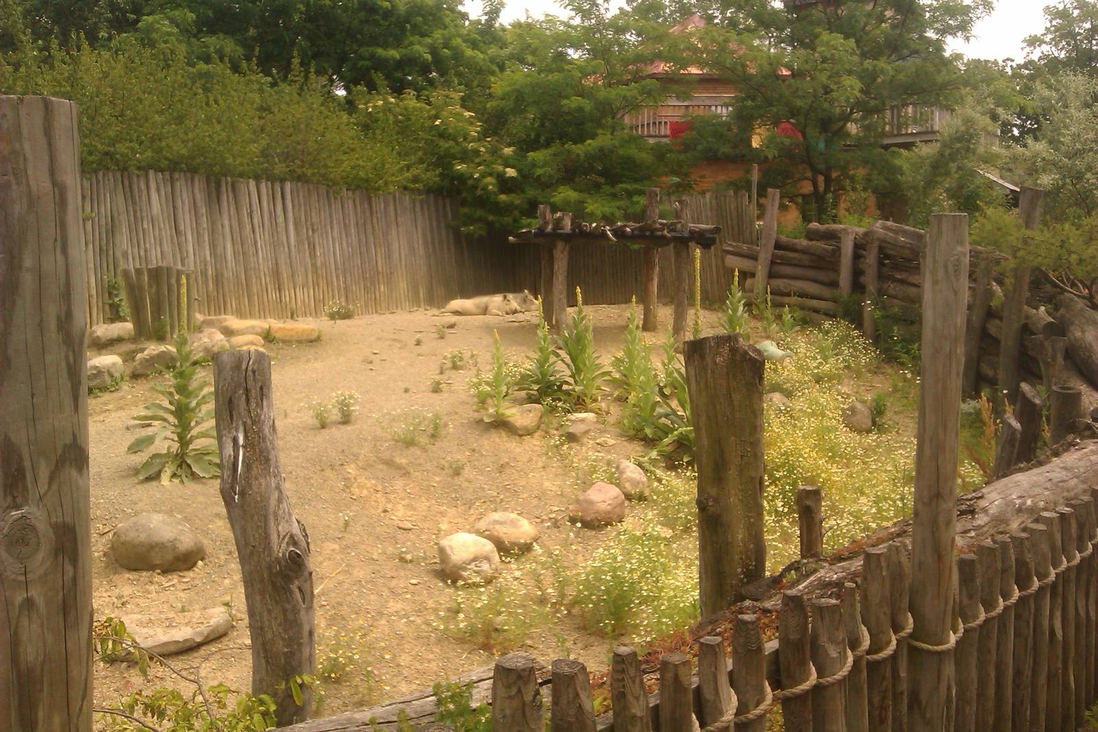 Warthog Exhibit