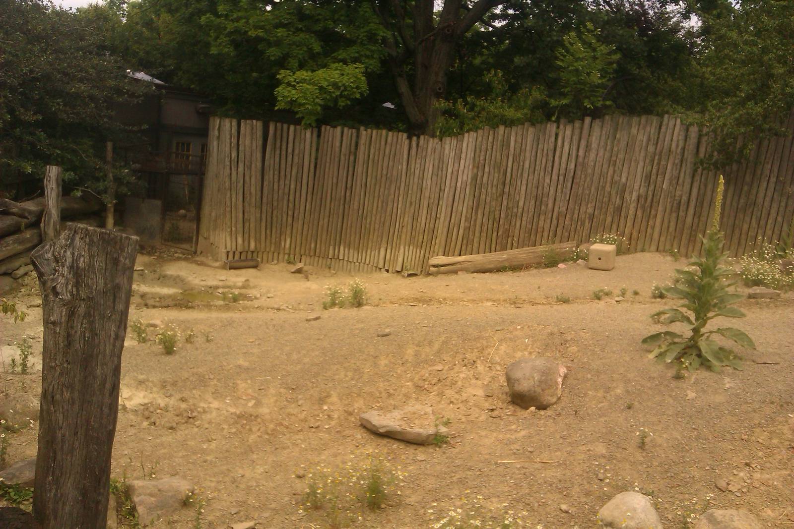 Warthog Exhibit