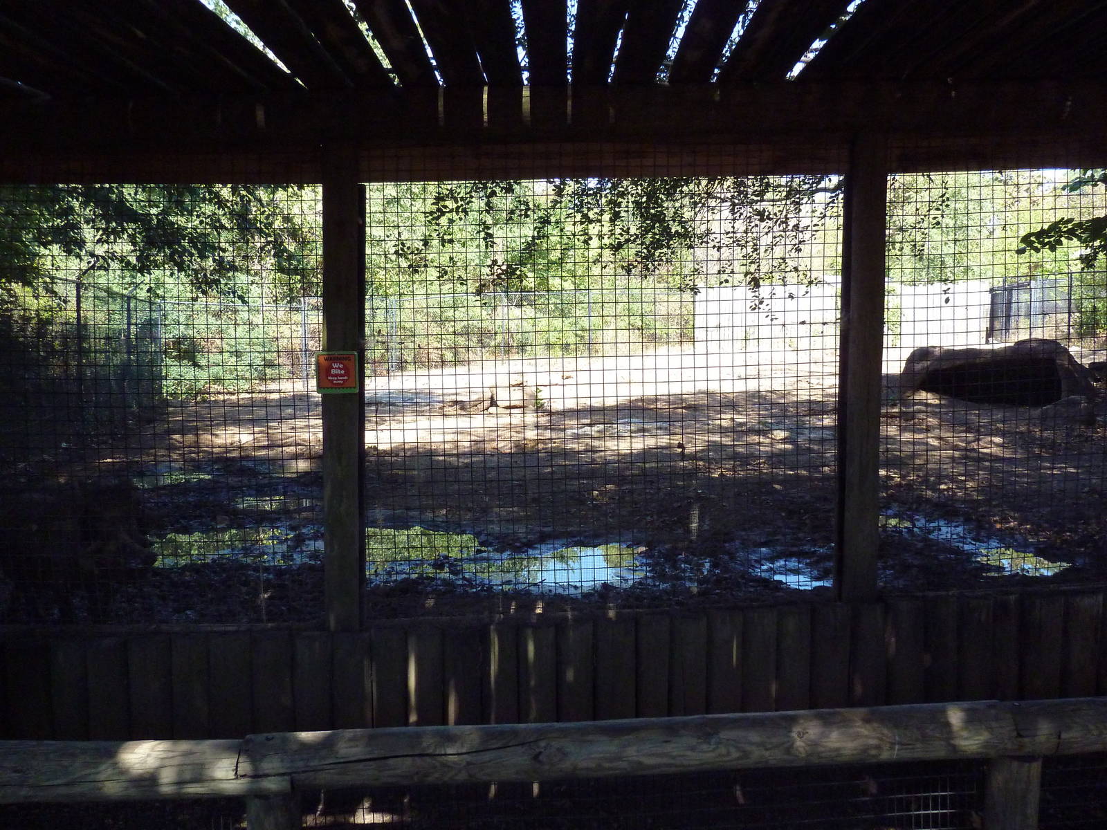 Warthog Exhibit
