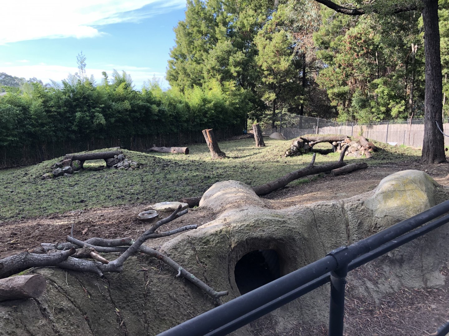Warthog exhibit