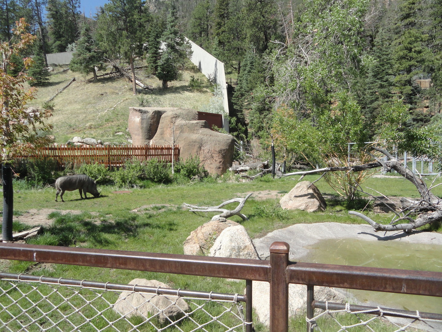 Warthog Exhibit