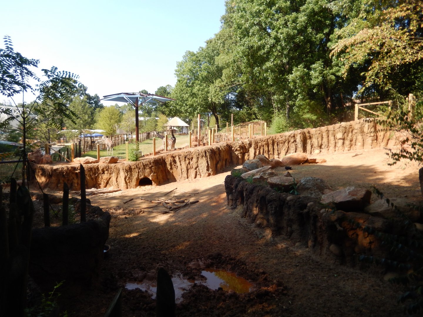 Warthog Habitat (Foreground), Savanna Habitat (Background)