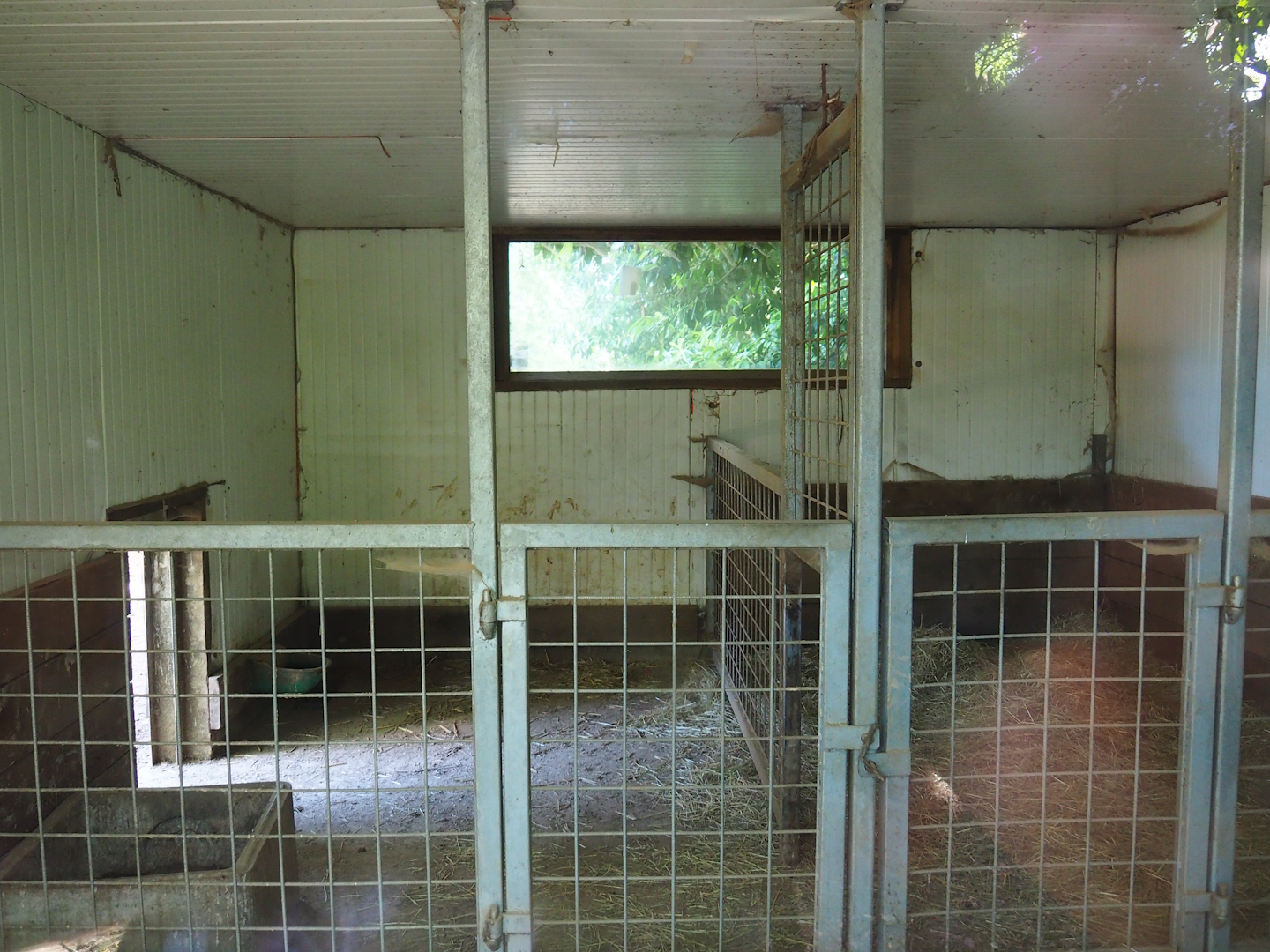 Warthog indoor stalls, 2023-06-24