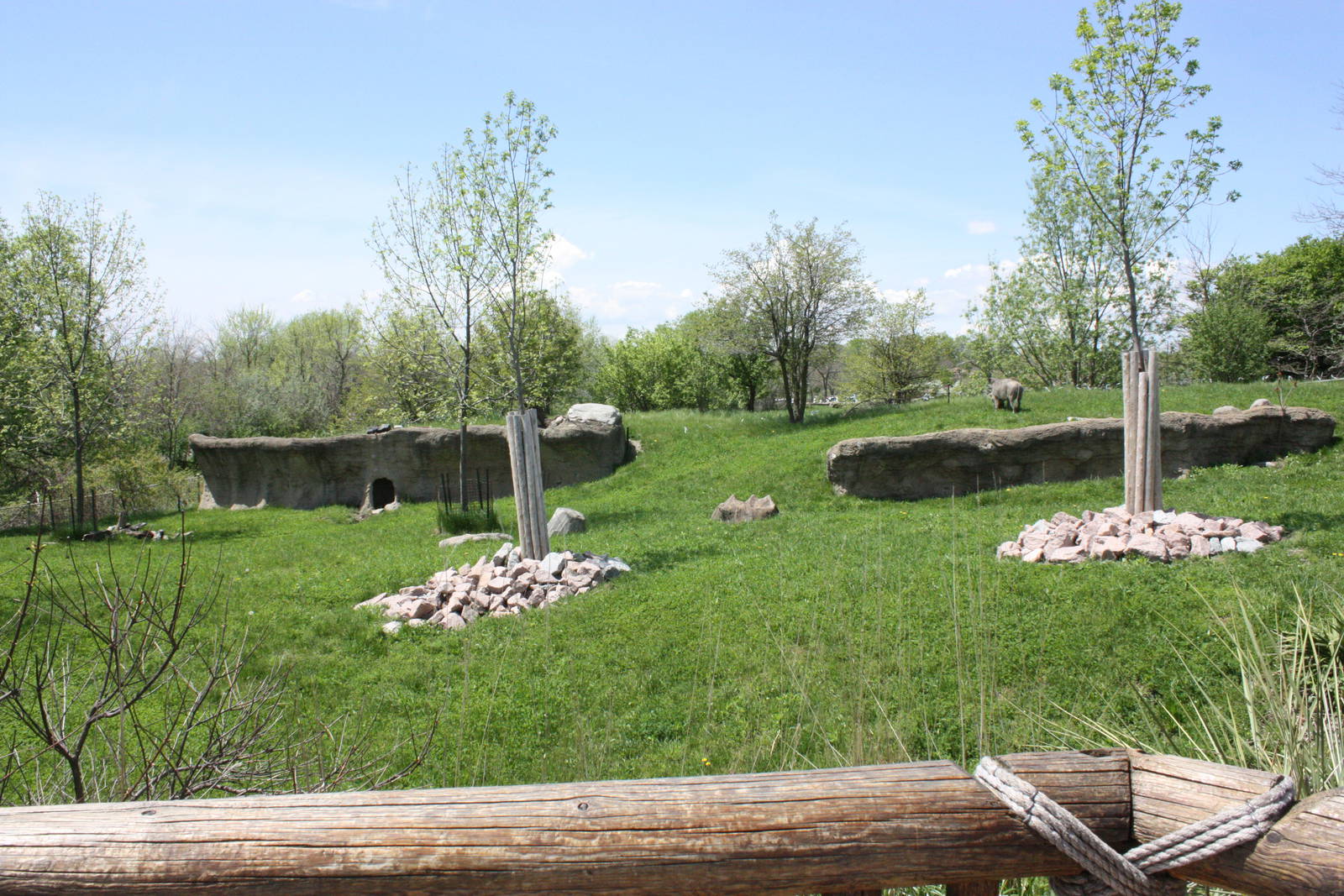 Warthog Outdoor Exhibit