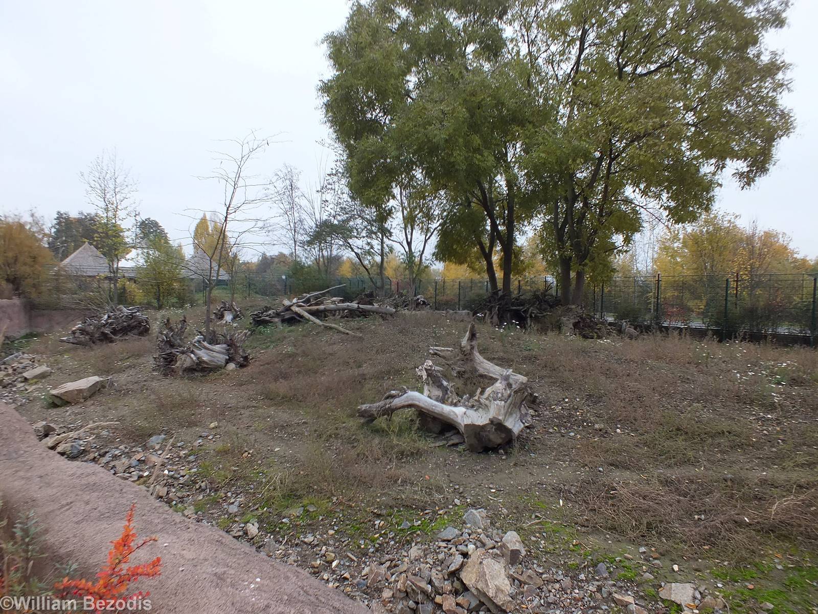 Warthog Outdoor Yard