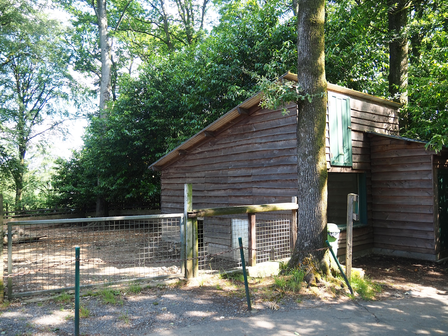 Warthog paddock and barn, 2023-06-24