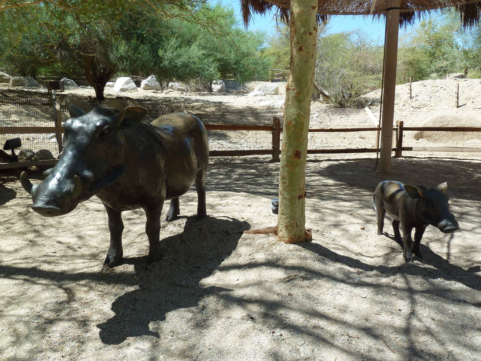 Warthog Statues