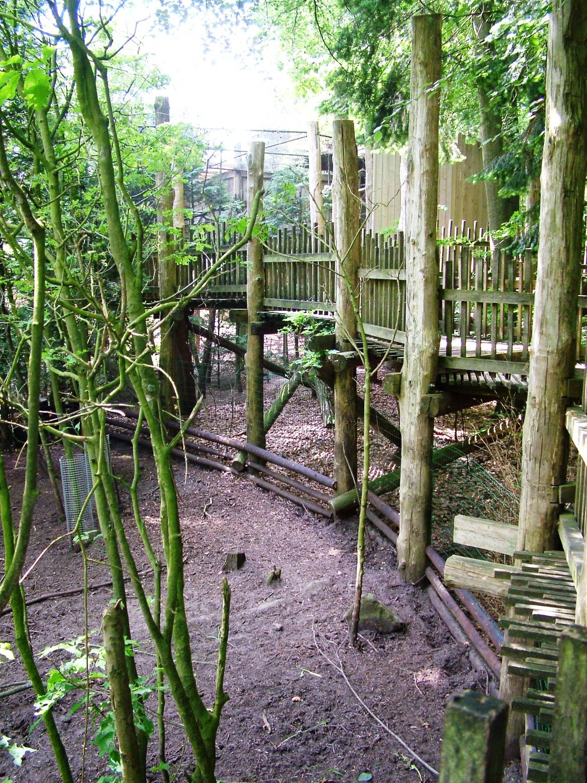 Warty Pig Exhibit at Apenheul, 30/05/12
