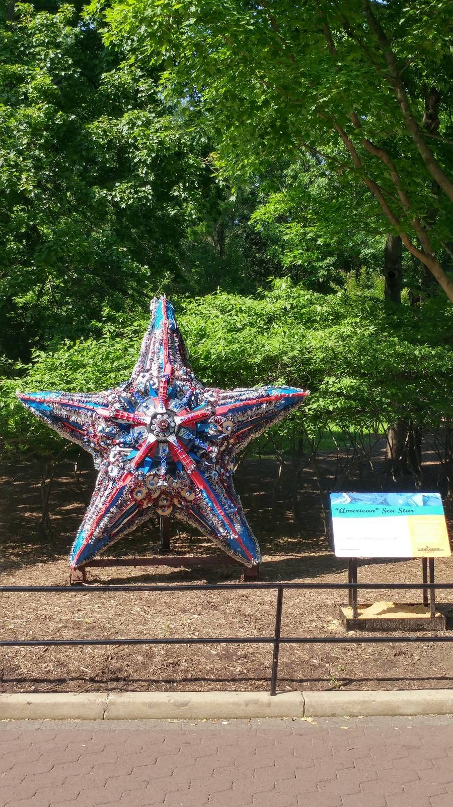 Washed Ashore: Art to Save the Sea - American Sea Star