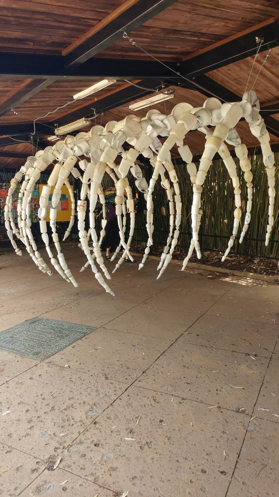 Washed Ashore: Art to Save the Sea - Whale Rib cage