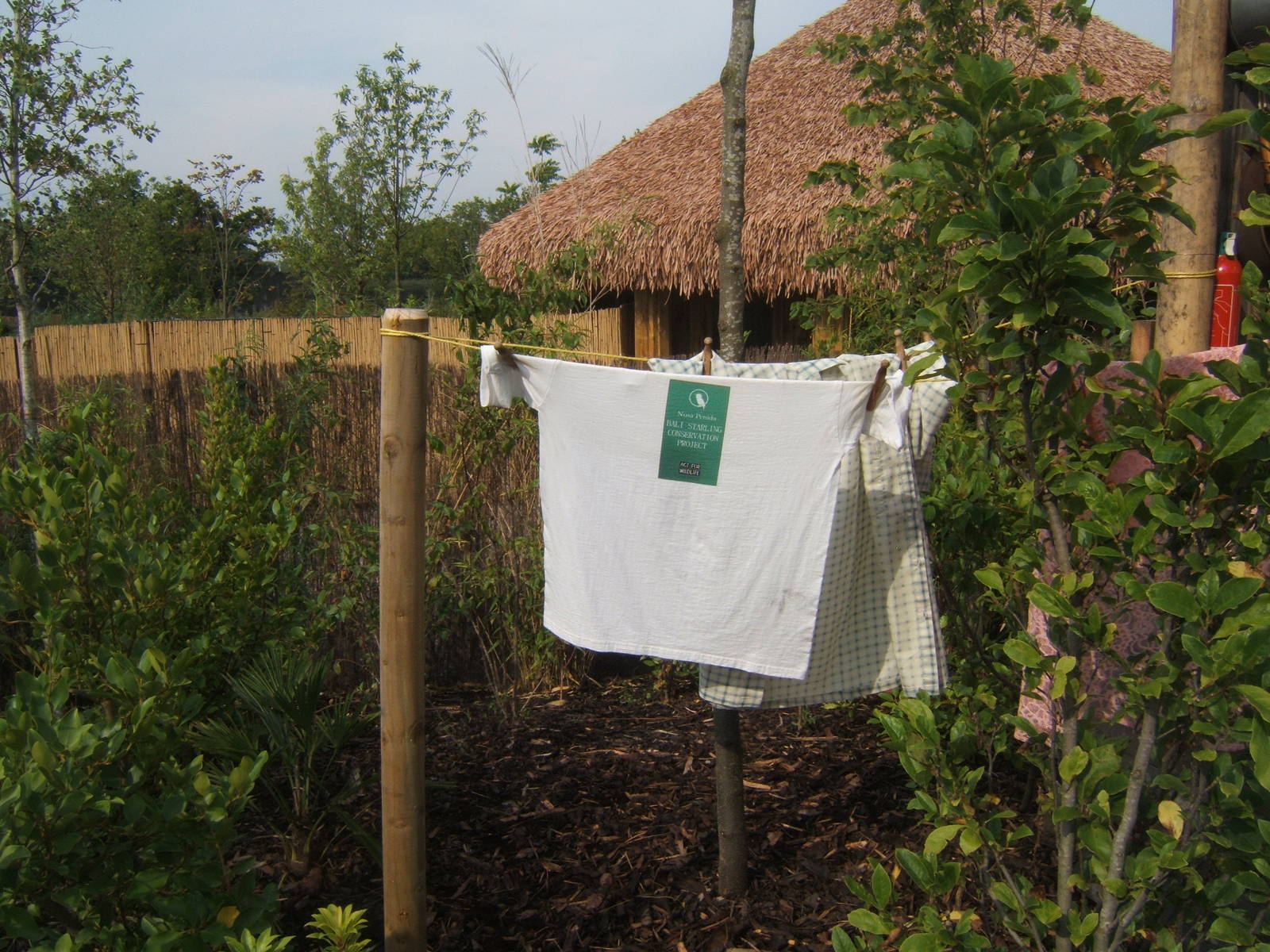 Washing line