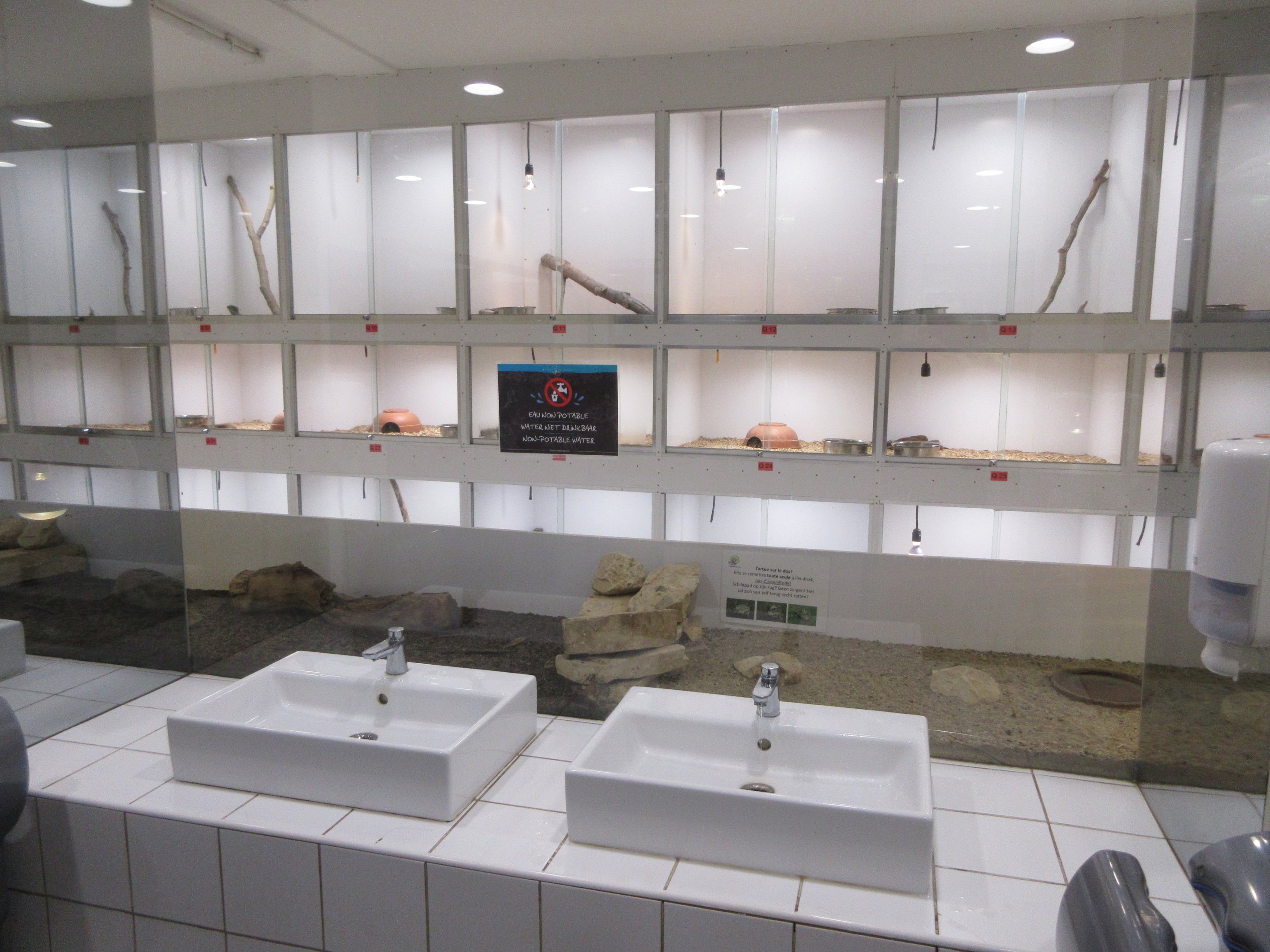 Washroom - on Reptile House Ship