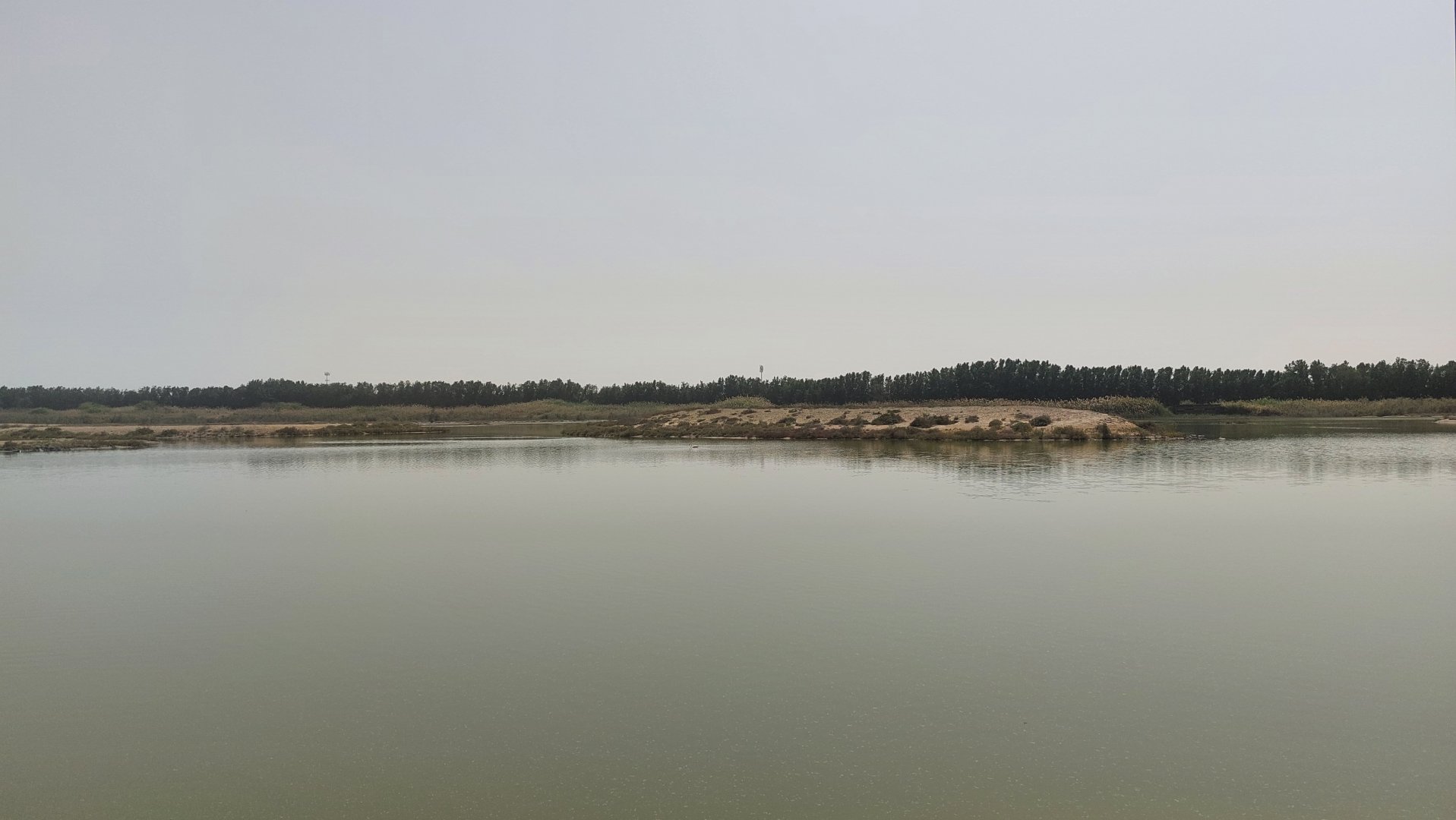 Wasit Lake with flamingo