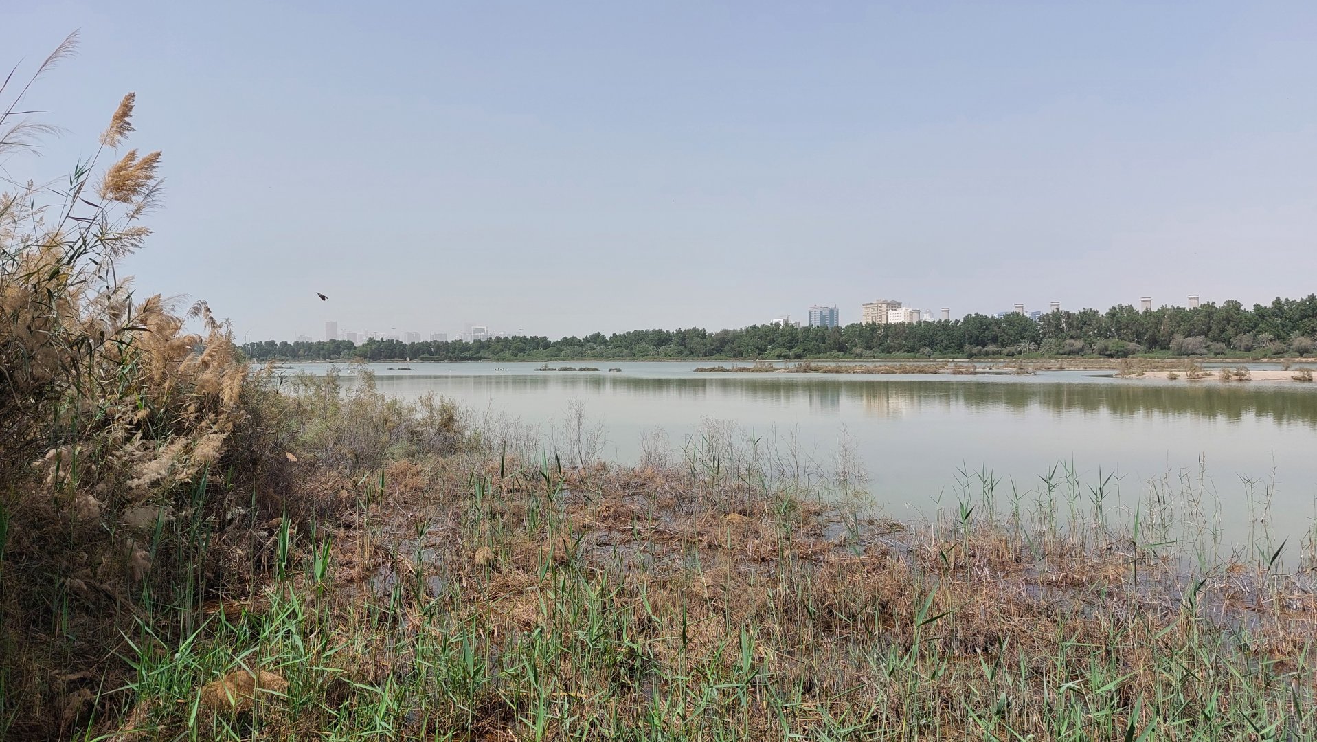Wasit Wetland lake