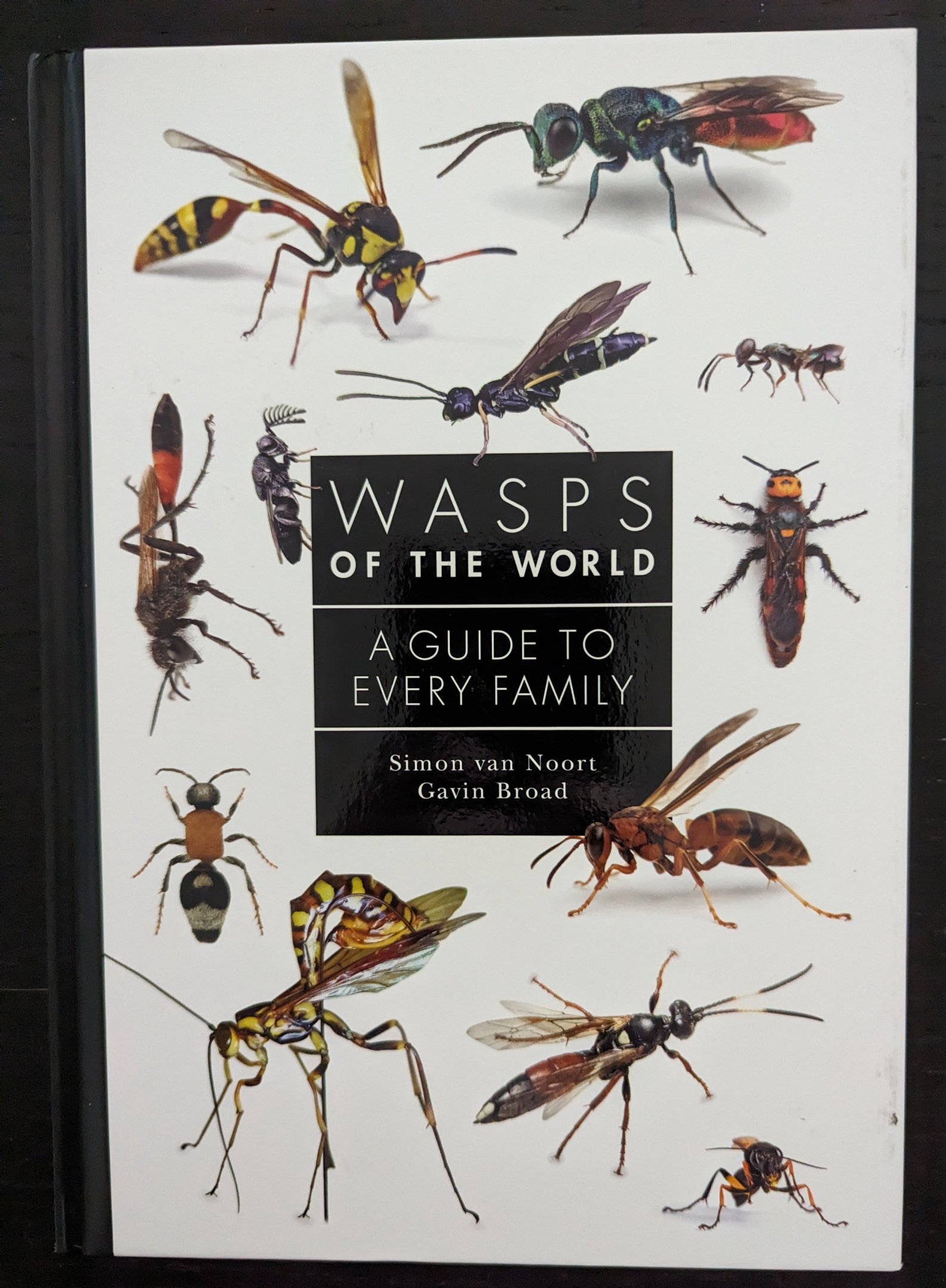 Wasps of the World: A Guide to Every Family
