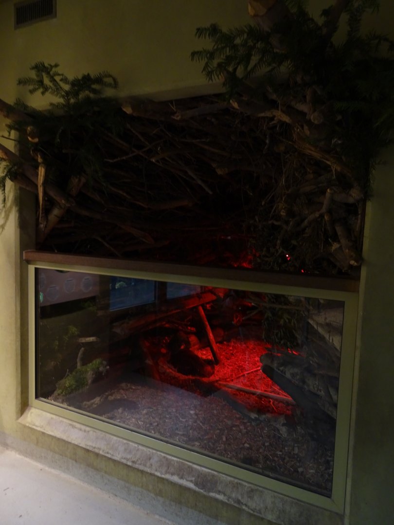 WasSerleben: Beaver indoor enclosure