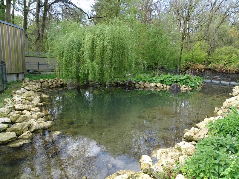 WasSerleben: Otter outdoor enclosure
