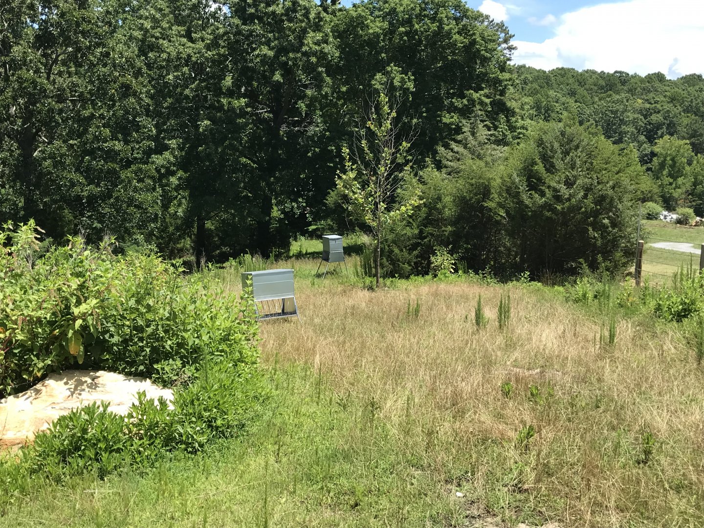 Watani Grasslands Antelope Feeders