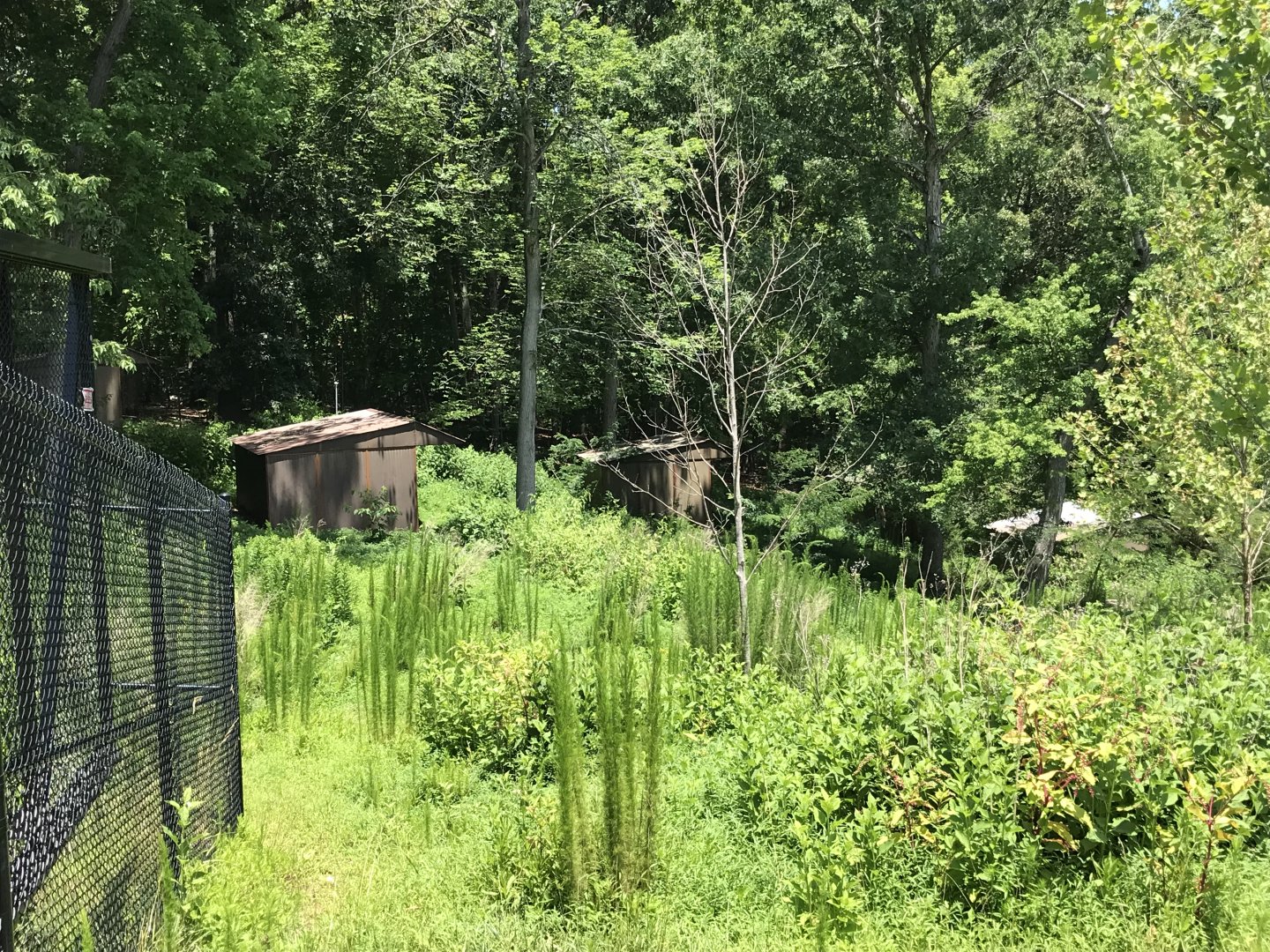 Watani Grasslands Antelope Winter Shelters