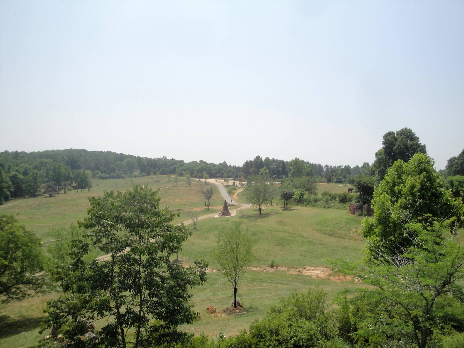 Watani Grasslands Exhibit